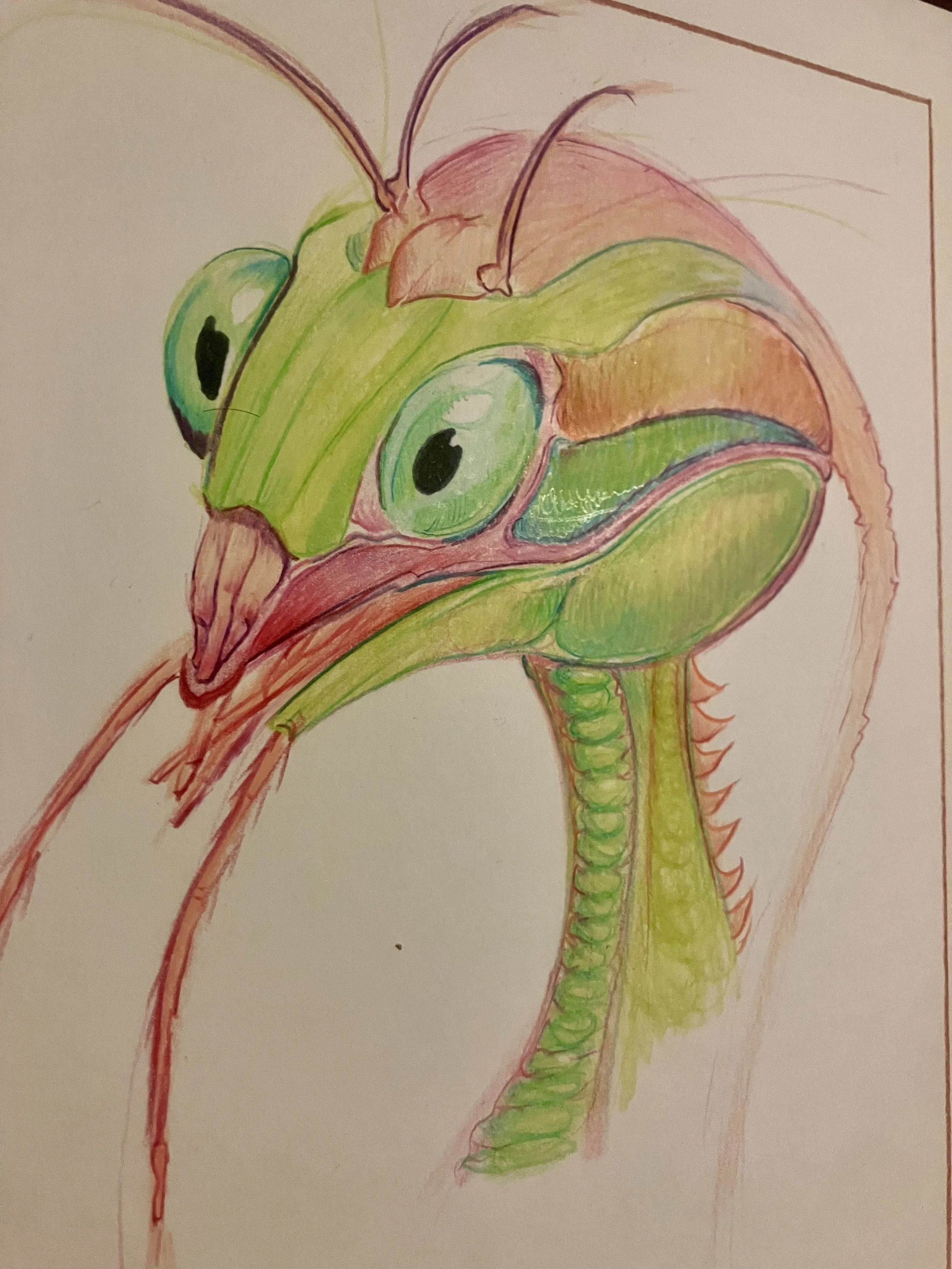 Manny The Mantis