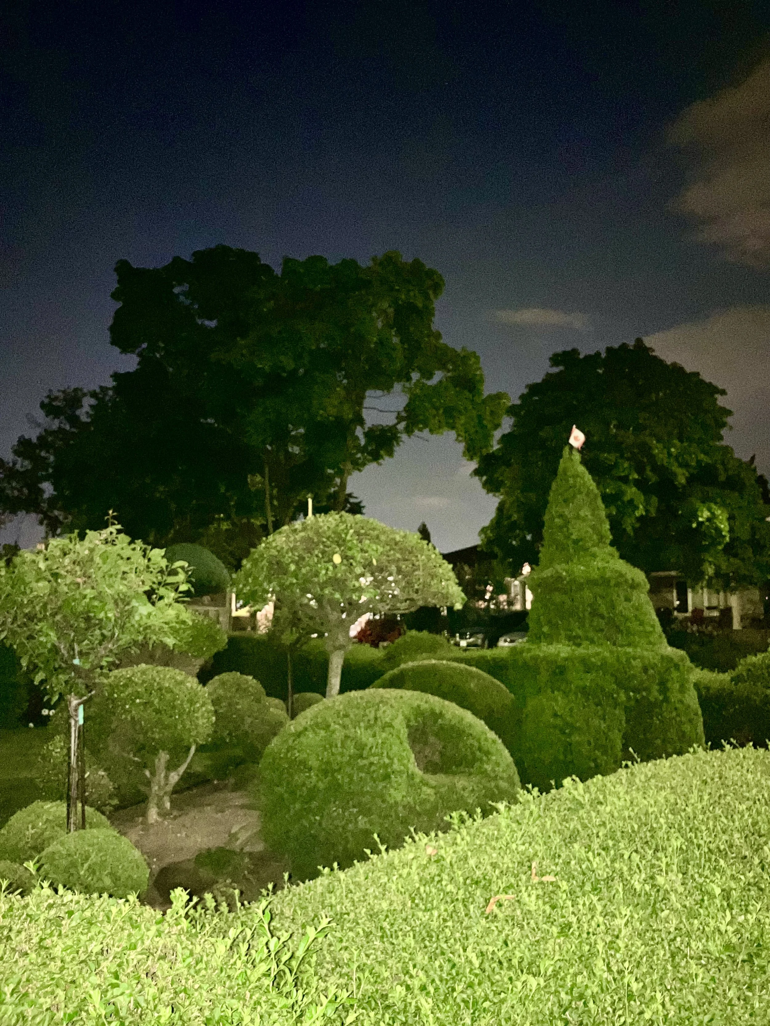 Night Walks In Liminal Suburbia Photography by Robin Richardson 