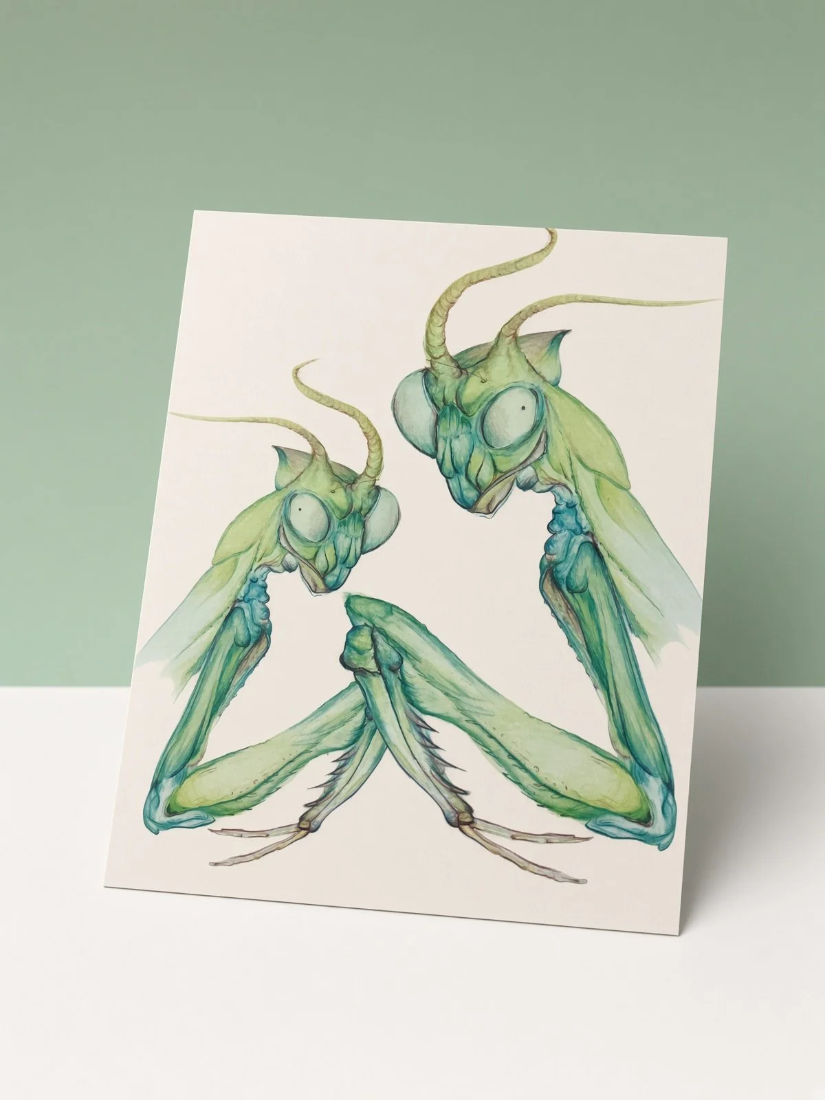 Mantid Postcard 4 Pack - Shipping Included