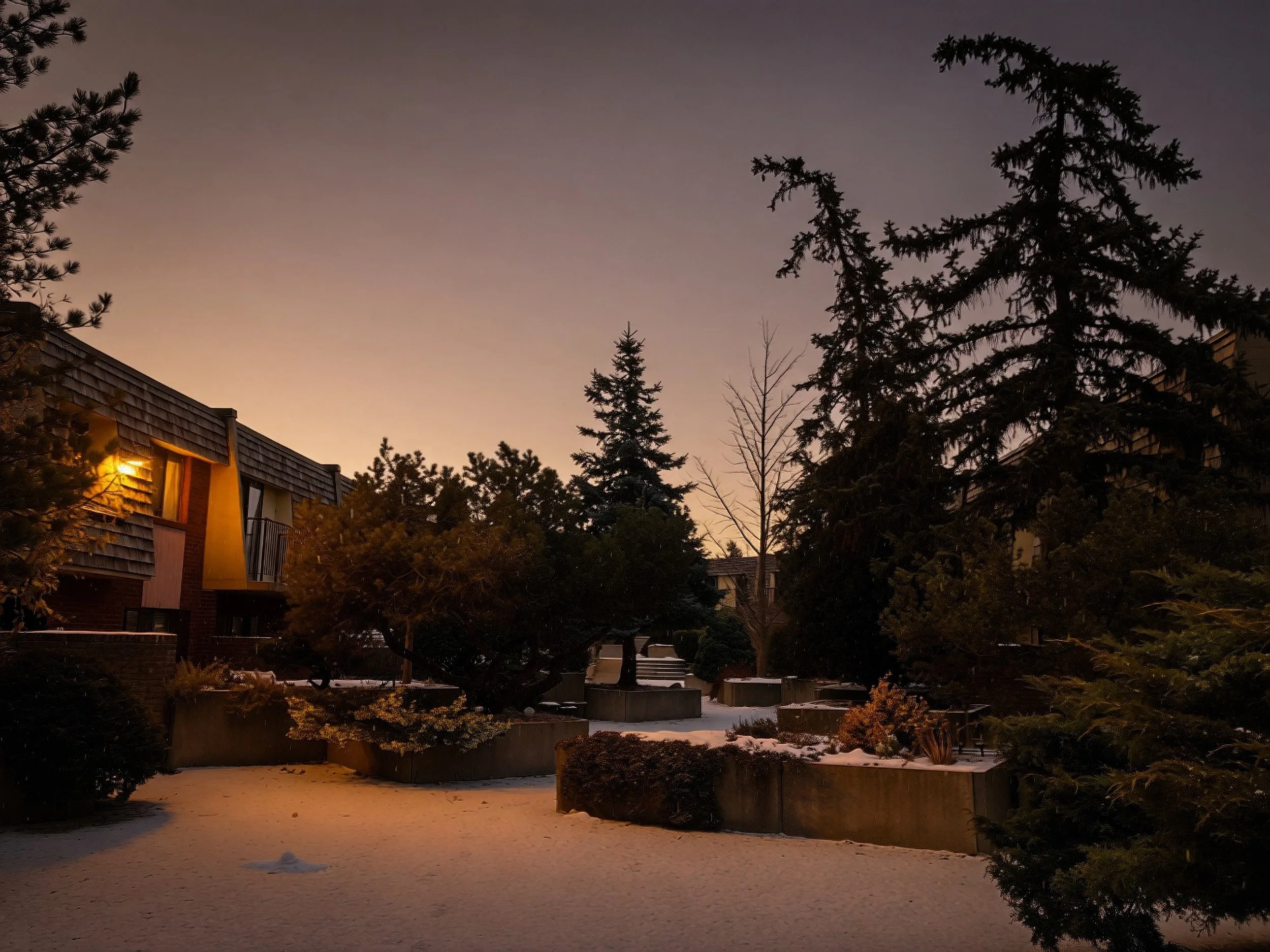 Night Walks In Liminal Suburbia Photography by Robin Richardson 