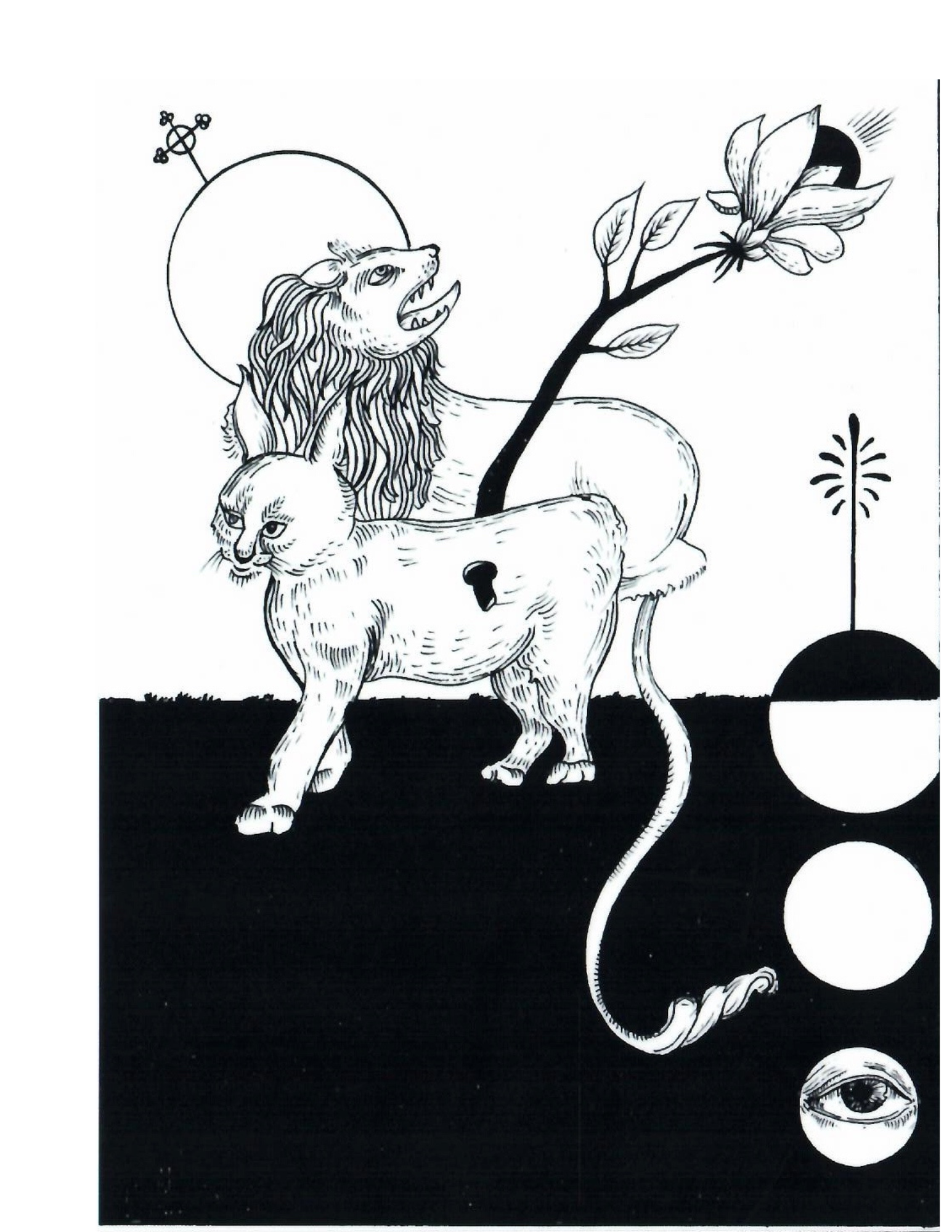 Copy of Untitled Design copy 3.png