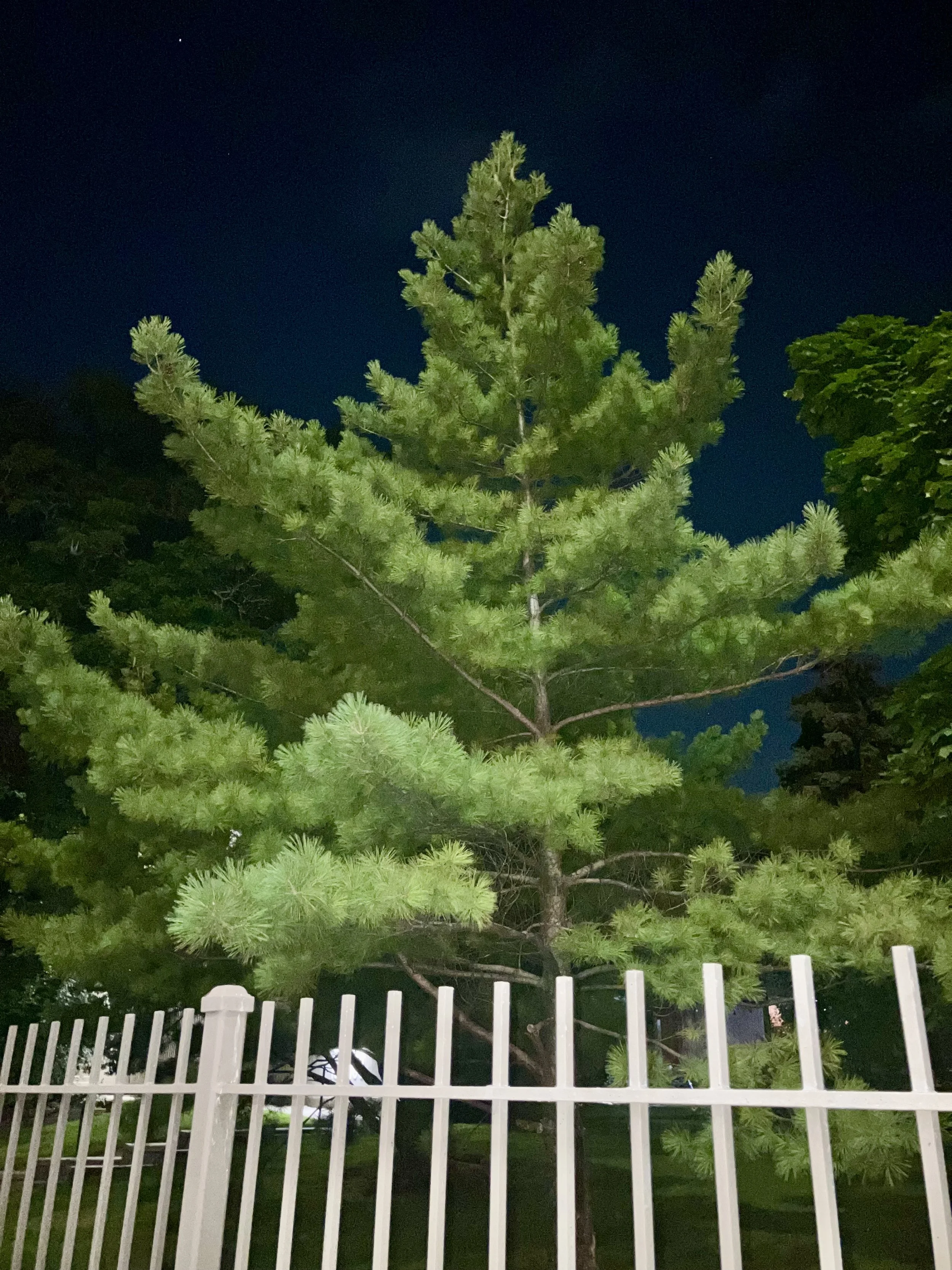 Night Walks In Liminal Suburbia Photography by Robin Richardson 