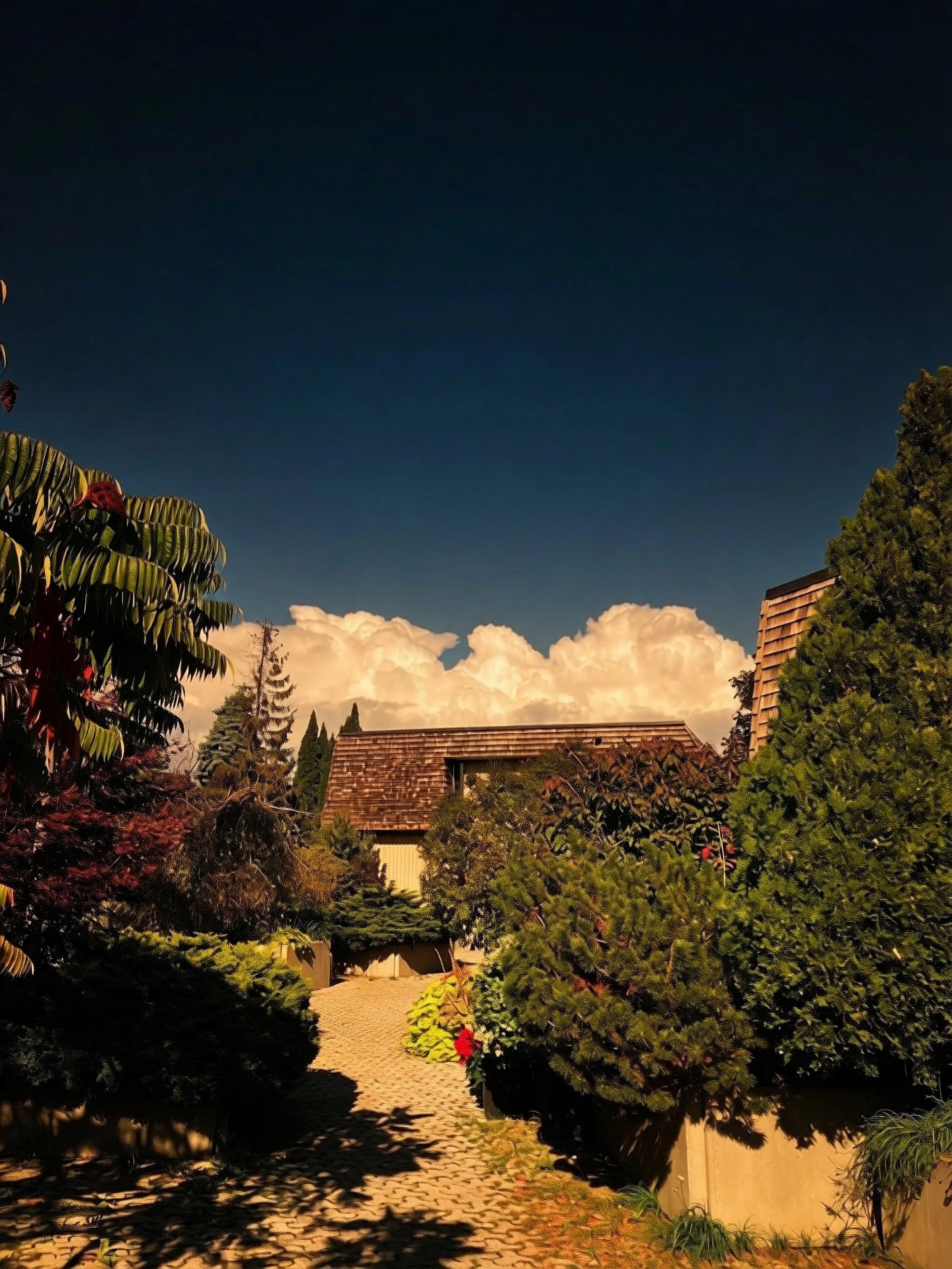 Night Walks In Liminal Suburbia Photography by Robin Richardson 