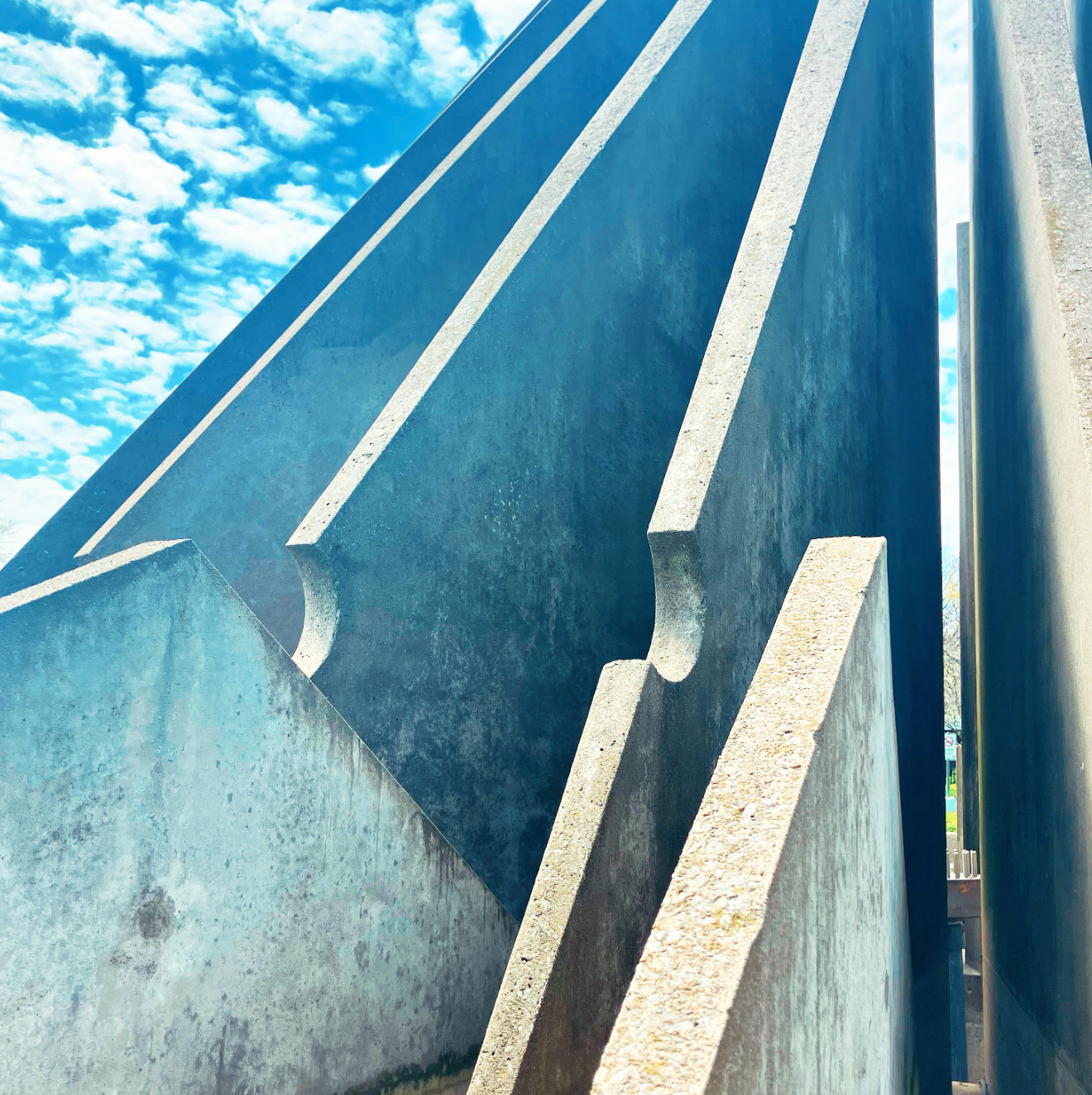 Day Walks in Liminal Suburbia by Robin Richardson