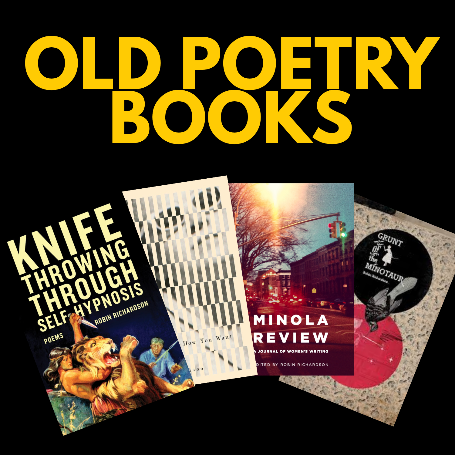 Robin Richardson Poetry Books Publications Writer