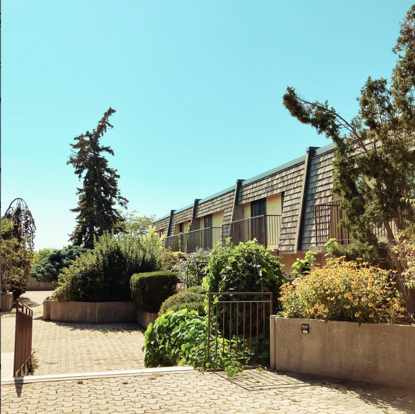 Day Walks in Liminal Suburbia by Robin Richardson