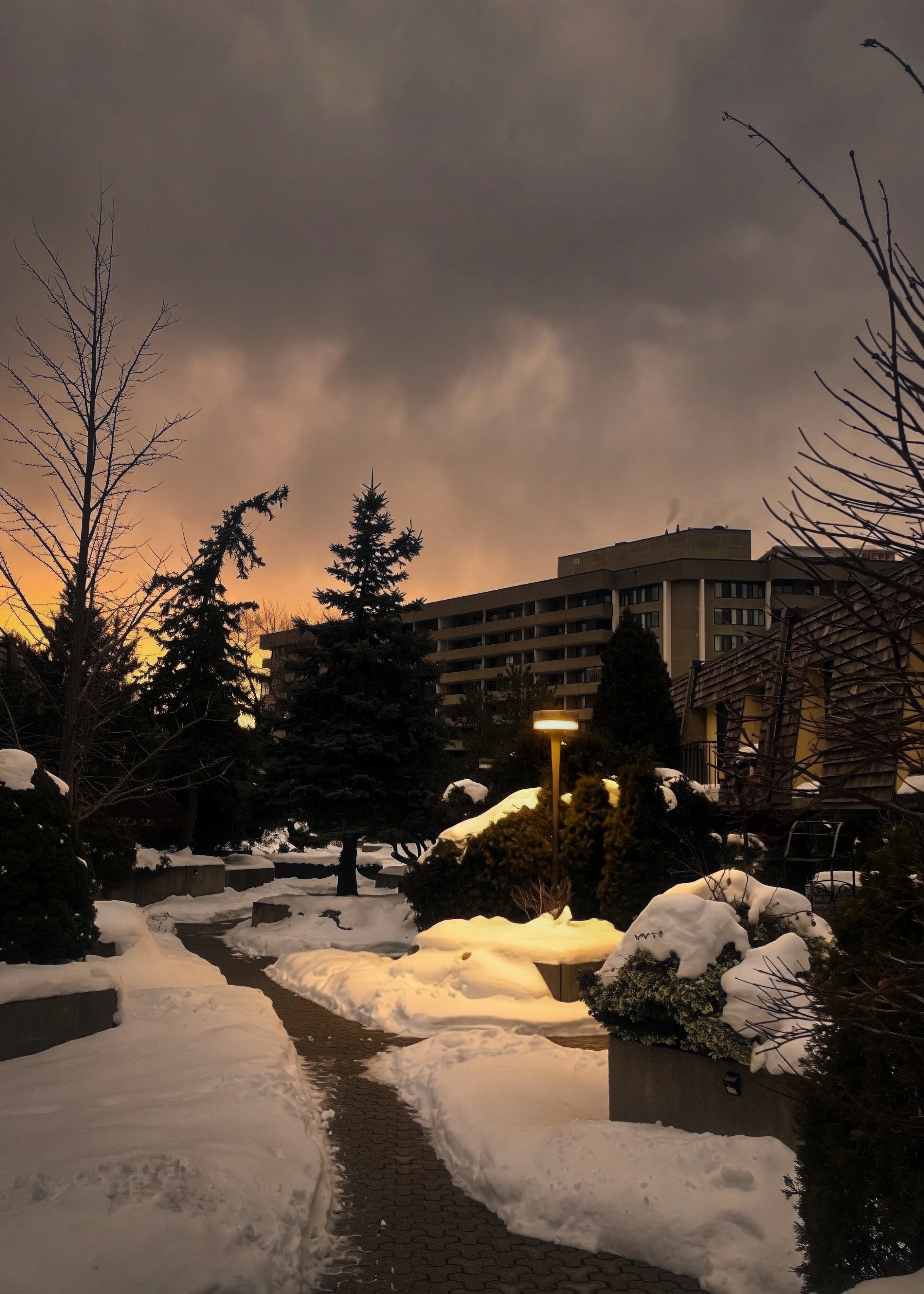 Night Walks In Liminal Suburbia Photography by Robin Richardson 