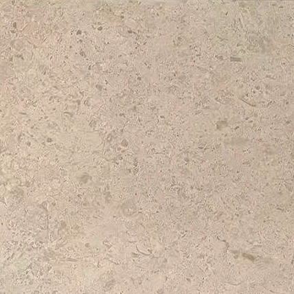 Christmas  beige 聖誕米黃