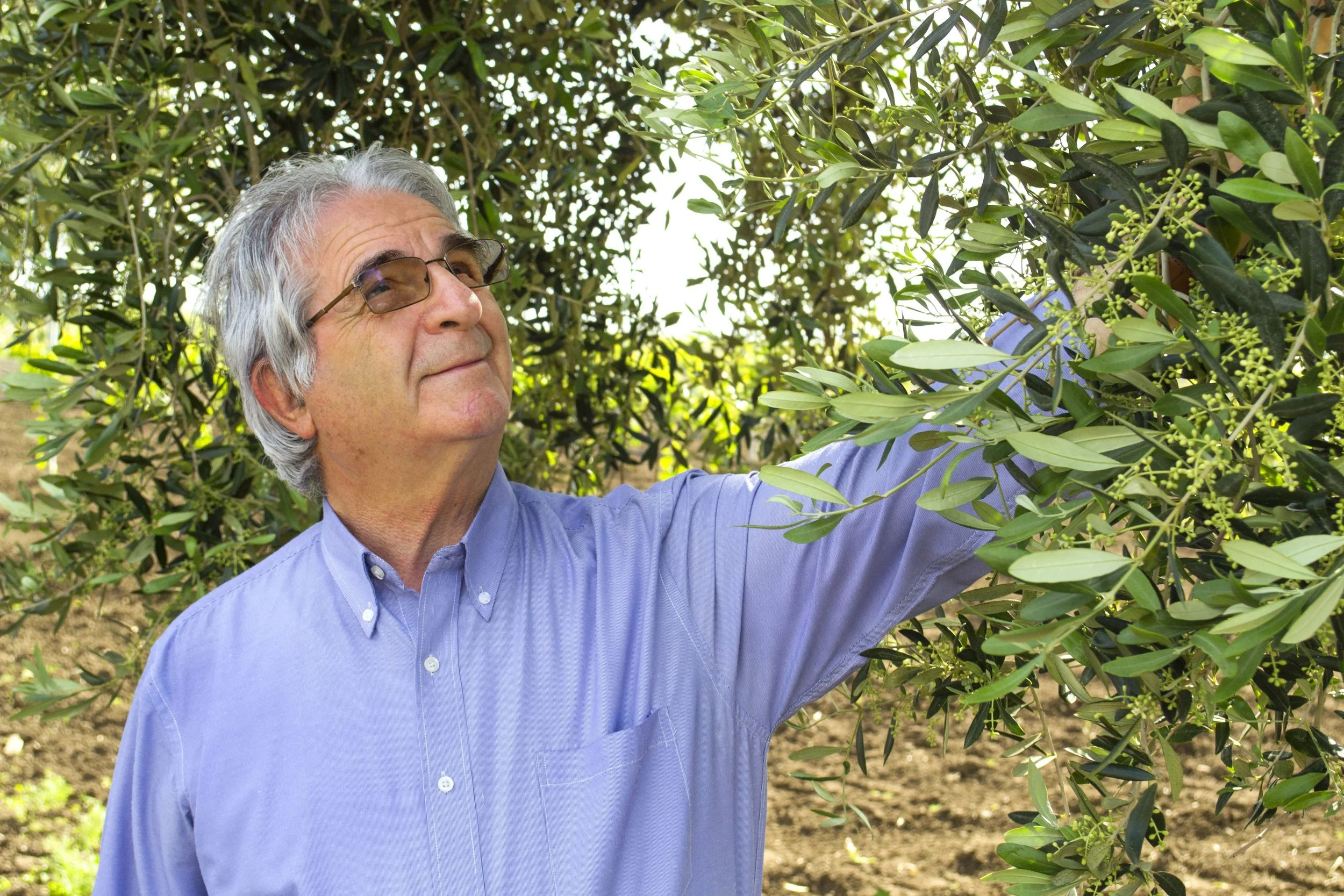 Tenuta Demaio