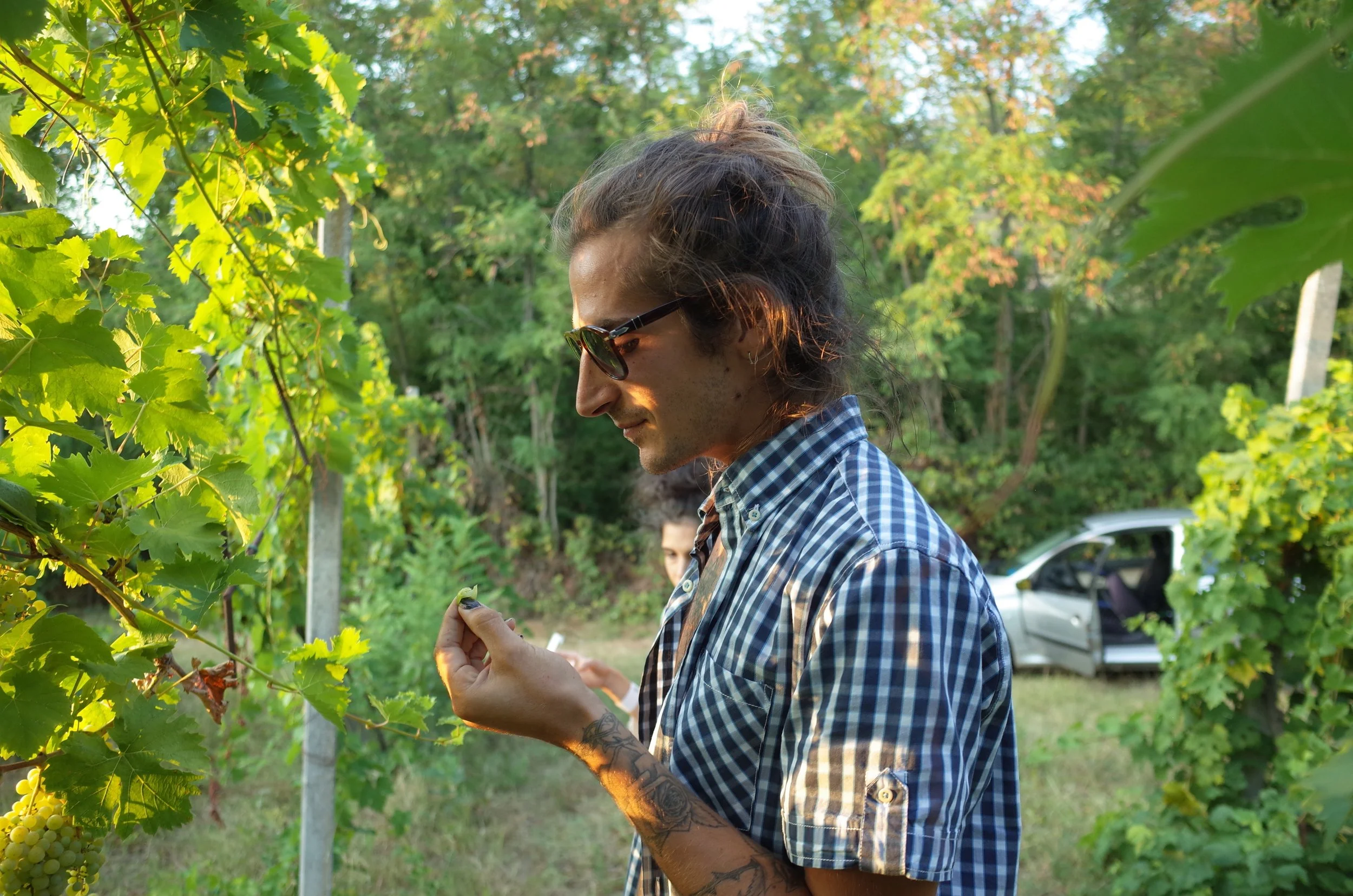 Ananda Terra e Vini