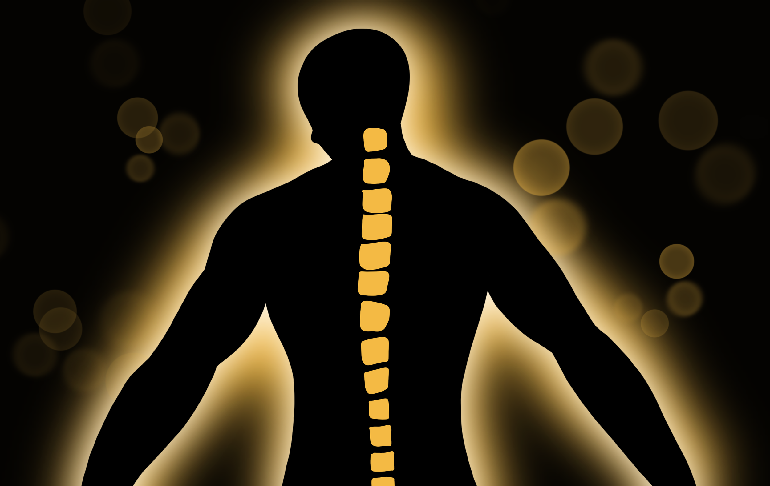 Vertebre Silhouette Dr. Harrison Website design