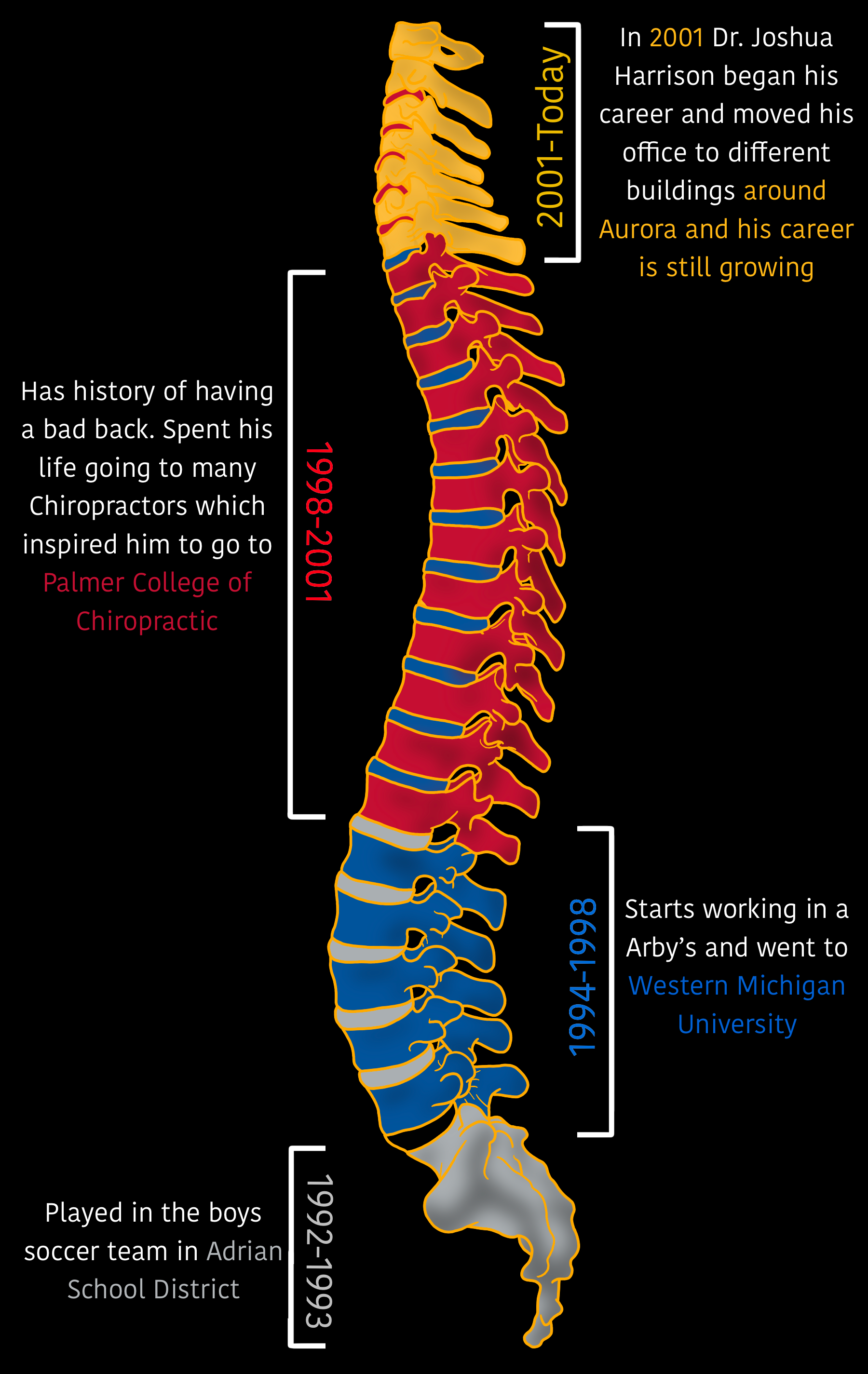 Vertebre Timeline Dr. Harrison Website