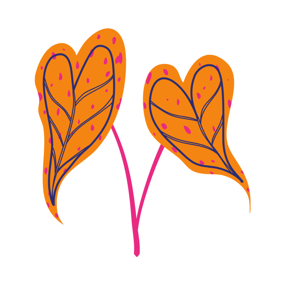 Stylized illustration of two orange leaves with purple veins and pink spots, with pink stems.