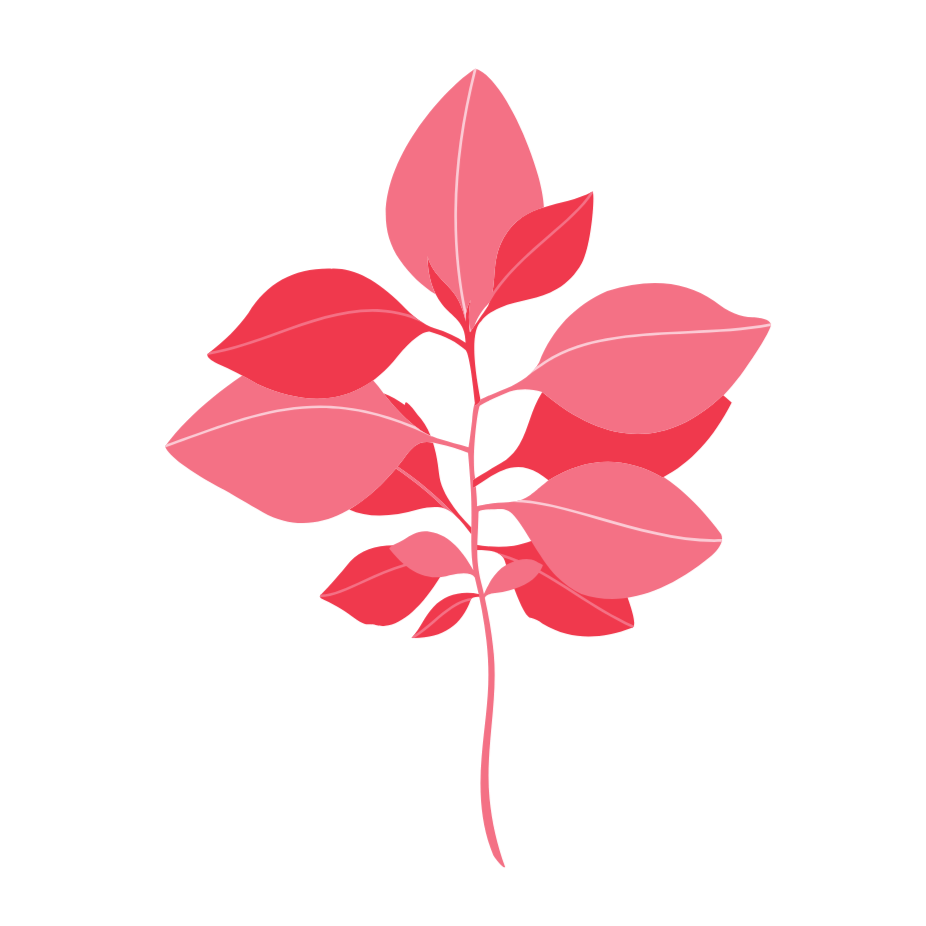 Illustration of a pink plant with multiple leaves on a black background.