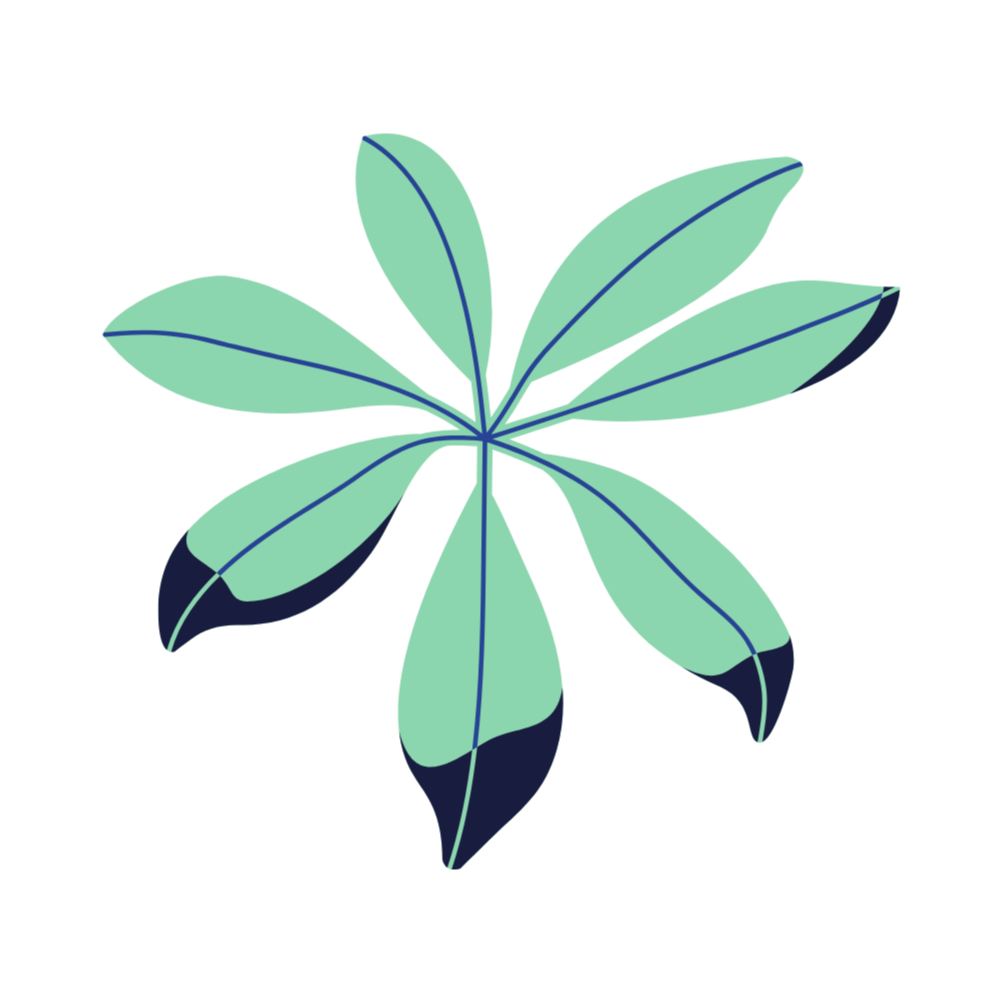 A digital illustration of a stylized plant with eight leaves in green and dark blue shades.