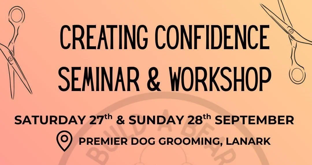 Creating Confidence Seminar & Workshop by Build A Bear