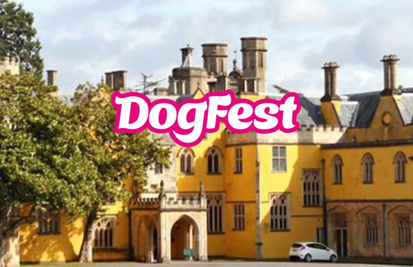 DogFest, Ashton Court - Bristol