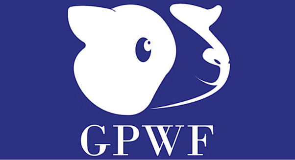 Guinea Pig Welfare Forum