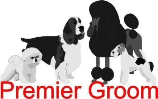 Premier Groom