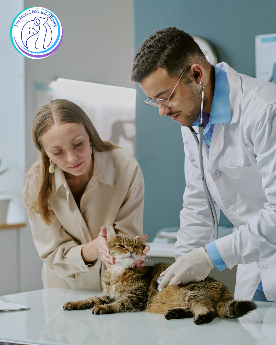 What Defra's Veterinary Sector White Paper Means for Pet Professionals