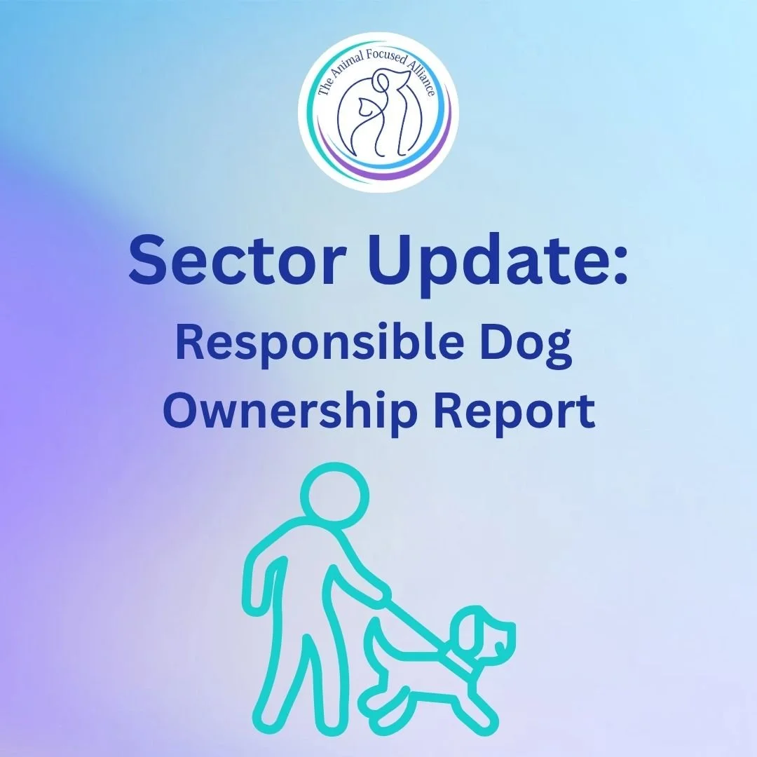 Responsible Dog Ownership Report