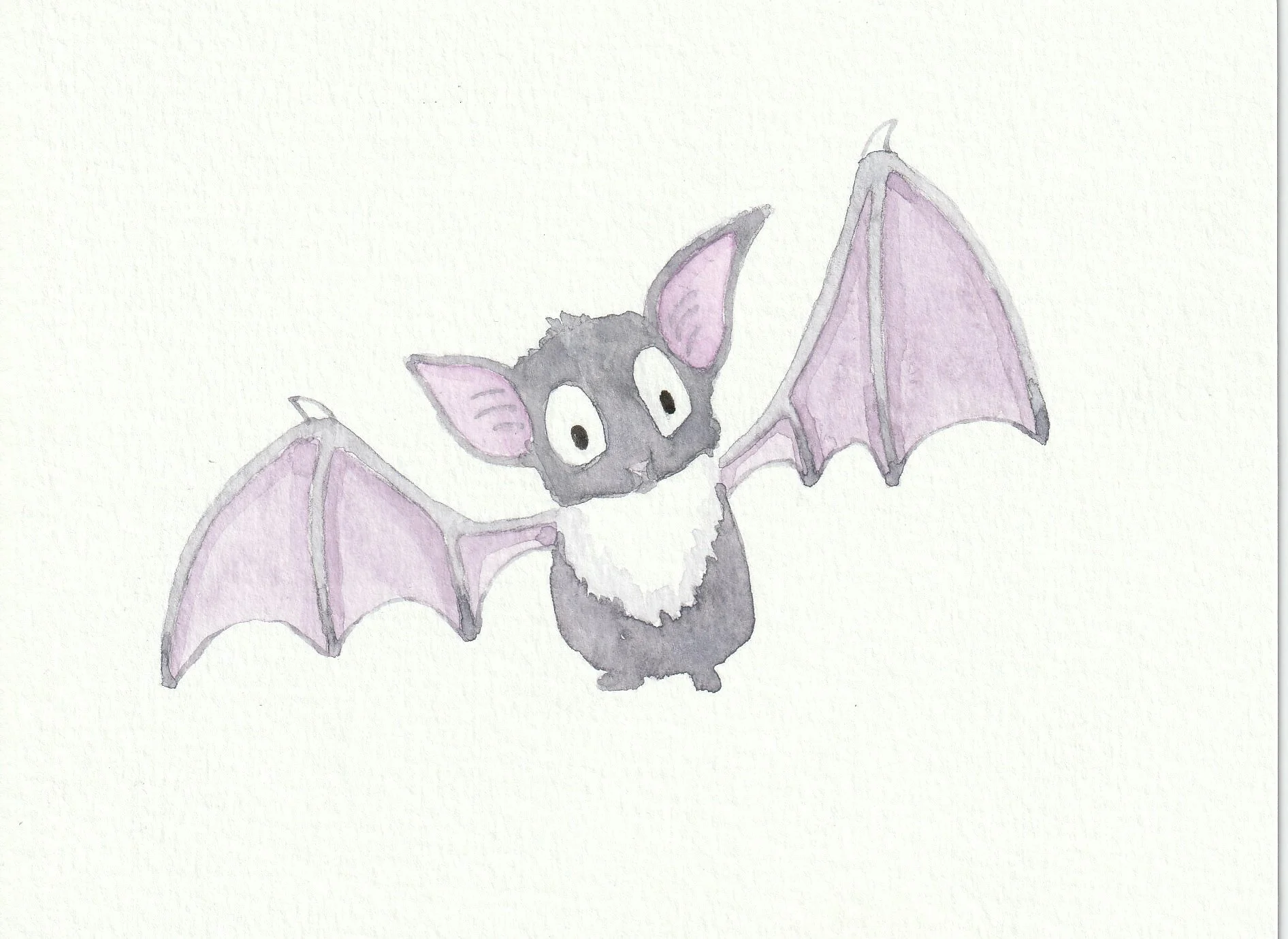 Bat. 12 x 16 cm