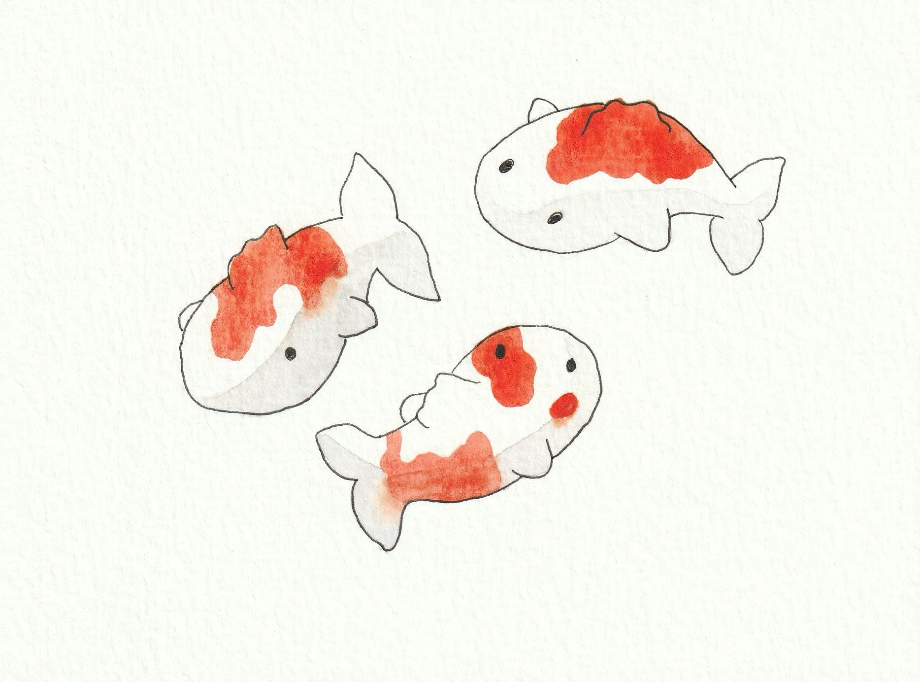 Koi fish. 12 x 16 cm