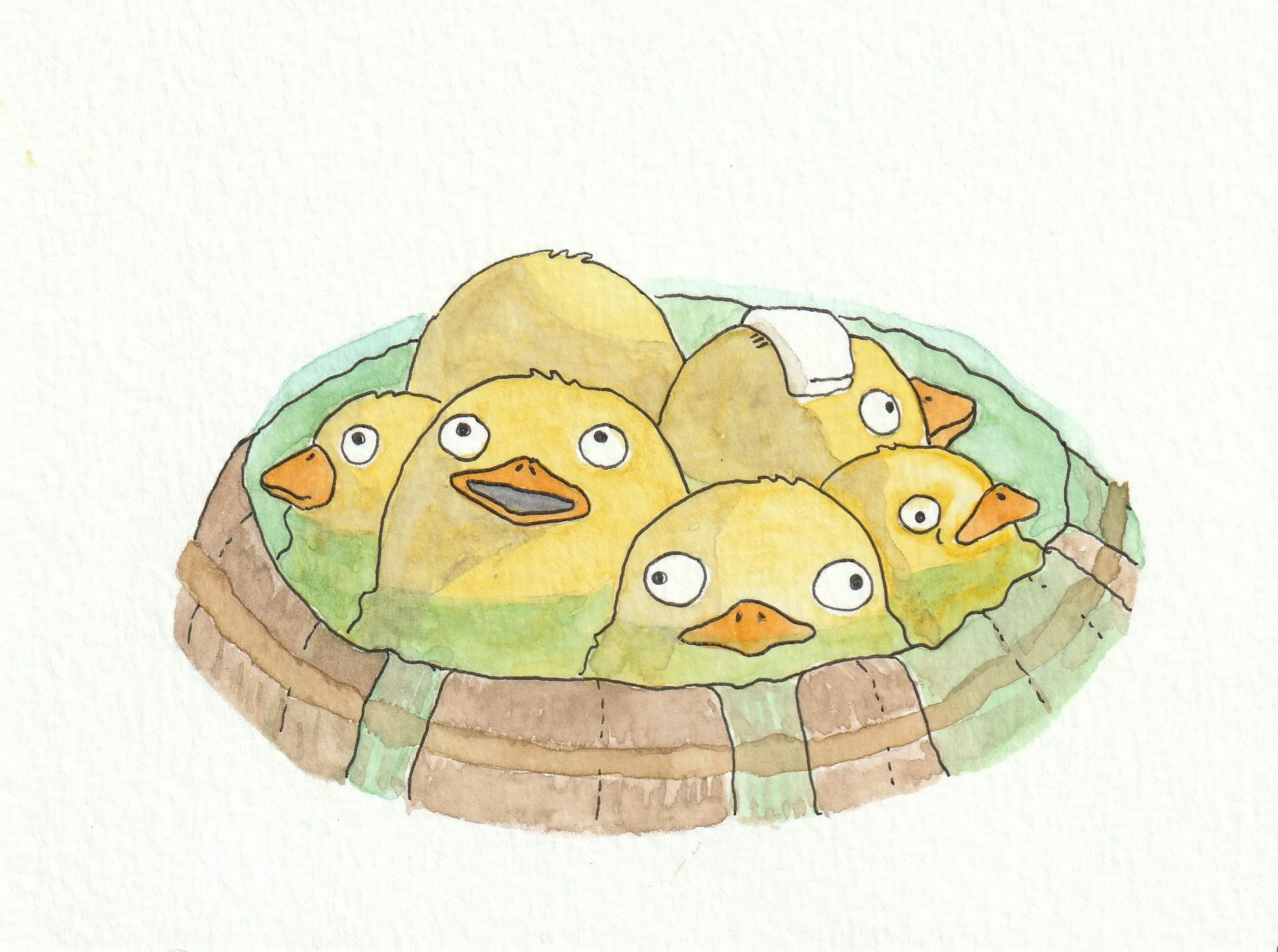 Otori-sama. 16 x 12 cm