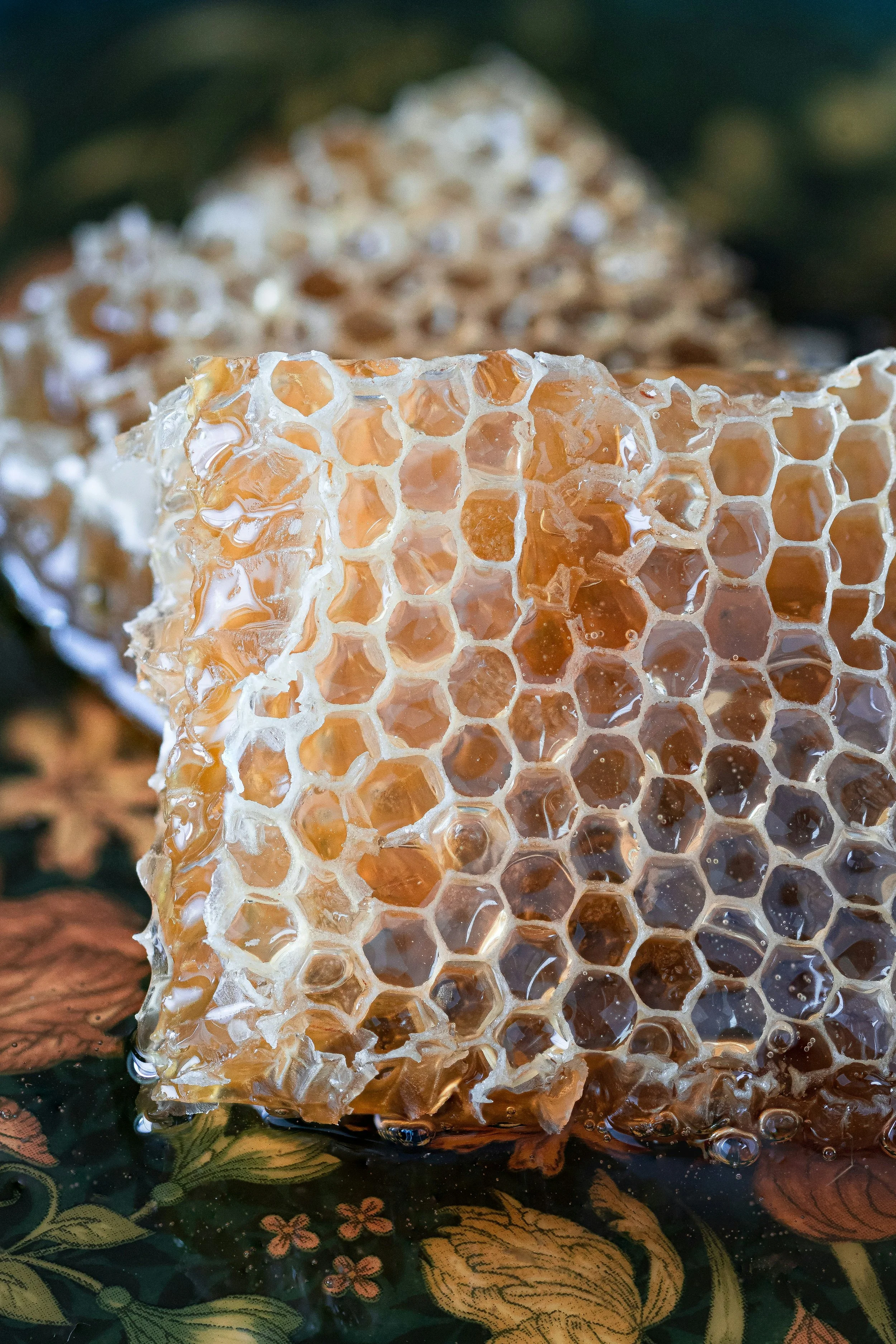Cadre de miel avec des alvéoles d'abeilles, posé sur un tissu à motif floral avec des couleurs vertes, oranges et marron.