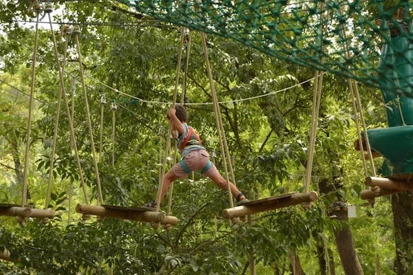 Enfant escaladant une structure d'accrobranche en forêt