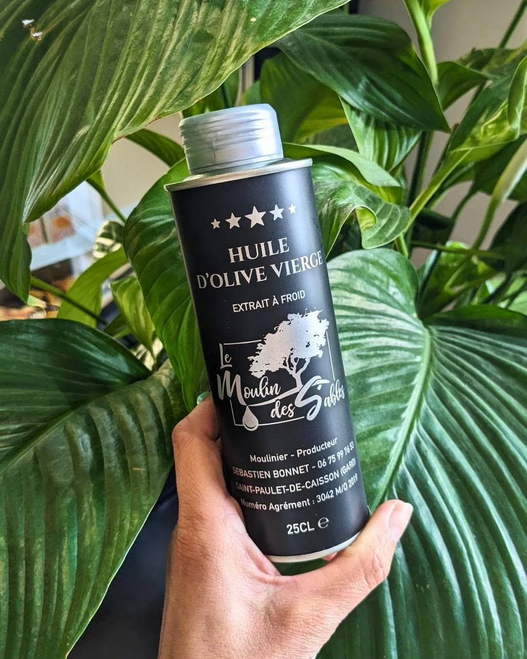 Bouteille d'huile d'olive vierge extra au design noir, blanc et argent, tenue par une main devant de grandes feuilles vertes de plantes