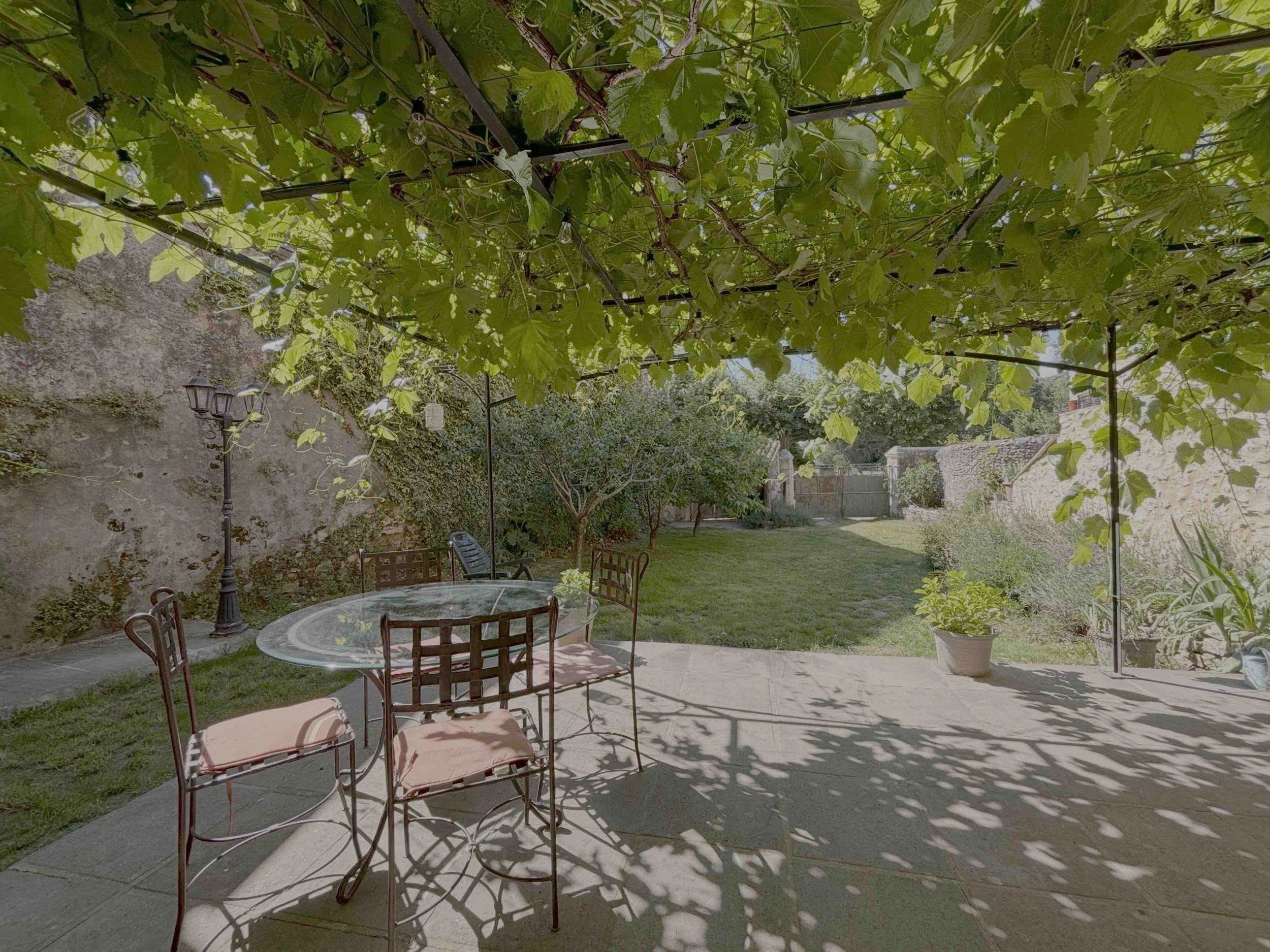 Jardin. 2.jpg
