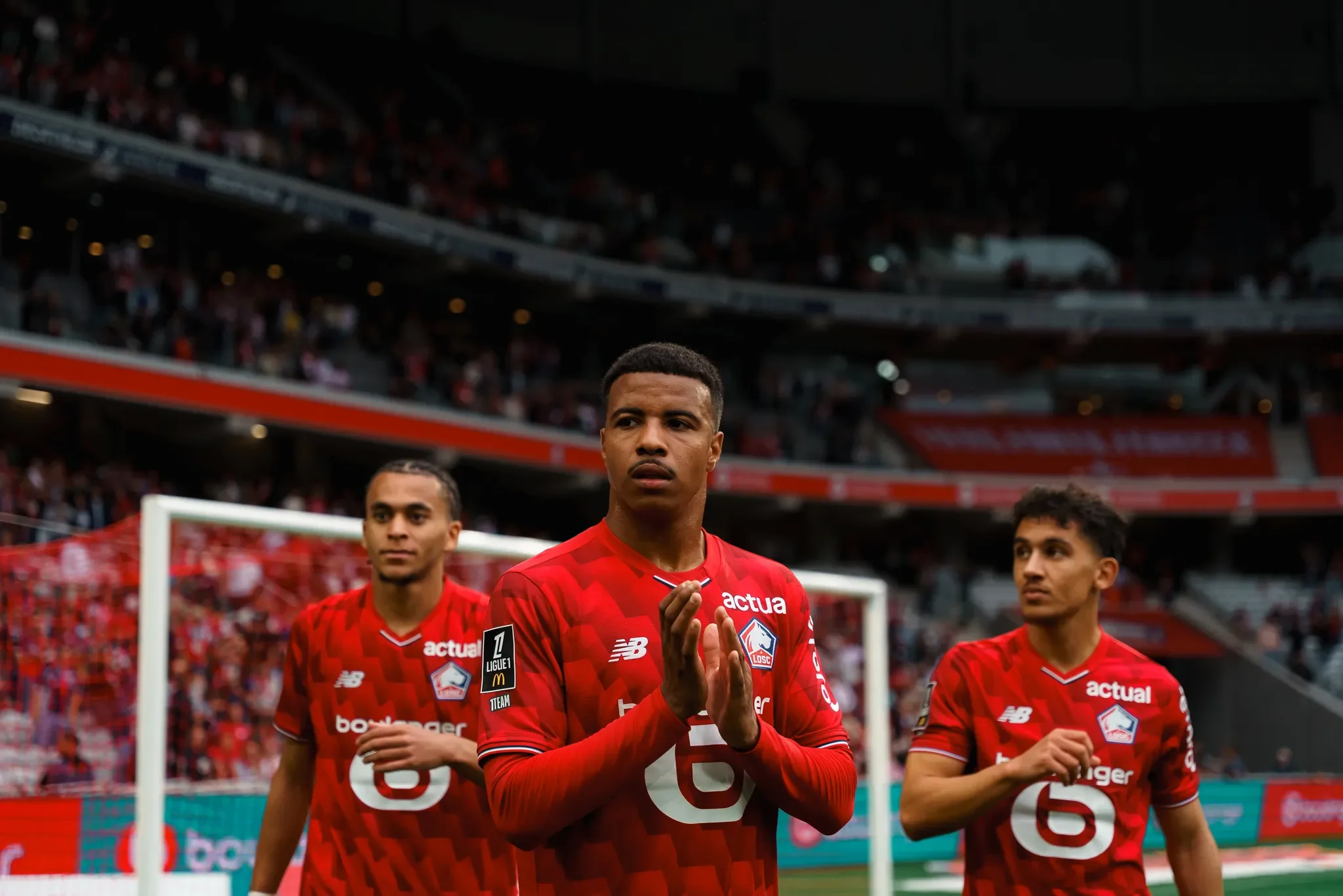 losc.webp