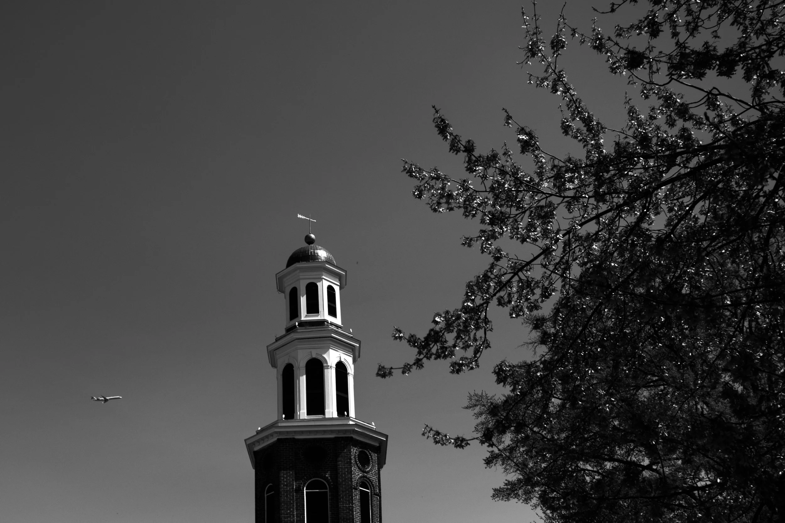 01312026Noland-11-18.jpg