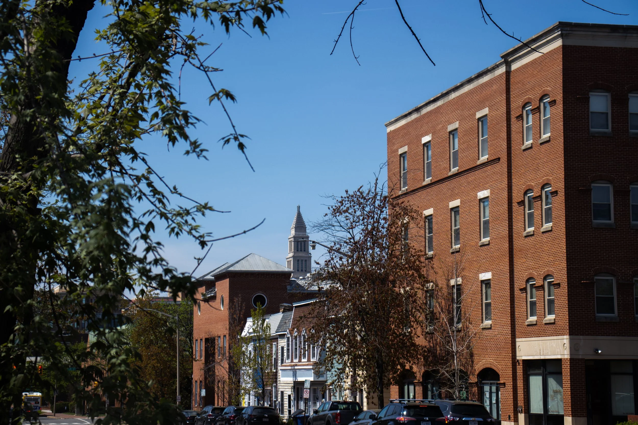 01312026Noland-8-16.jpg
