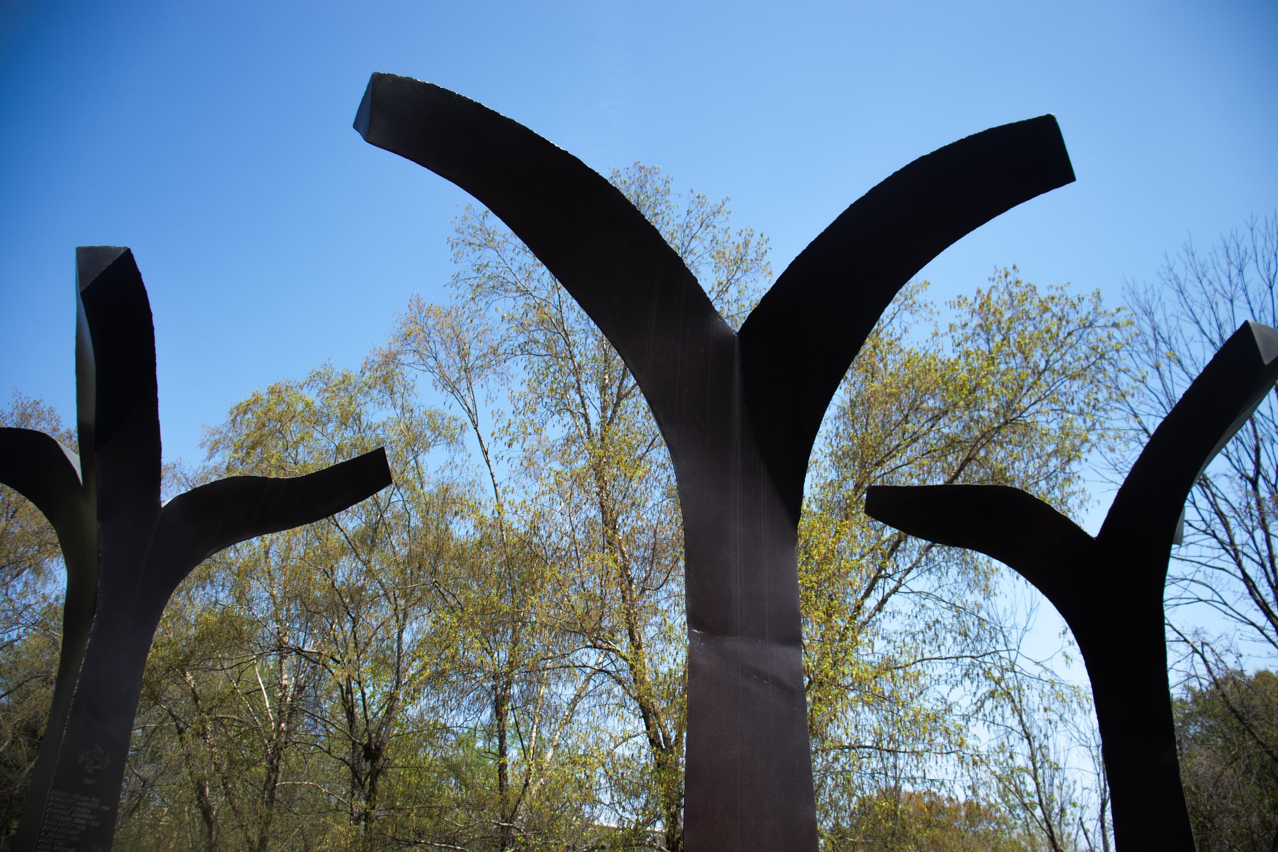 01312026Noland-1-54.jpg