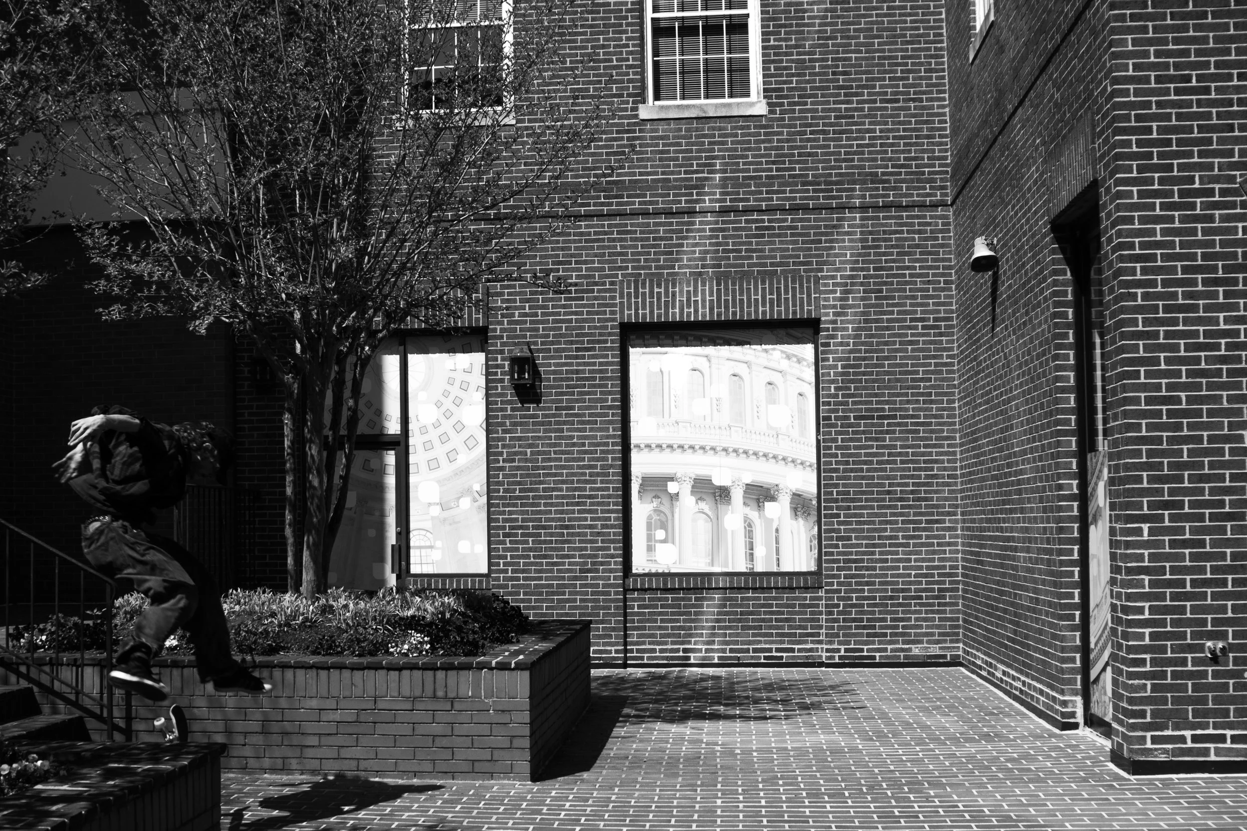 01312026Noland-31-8.jpg