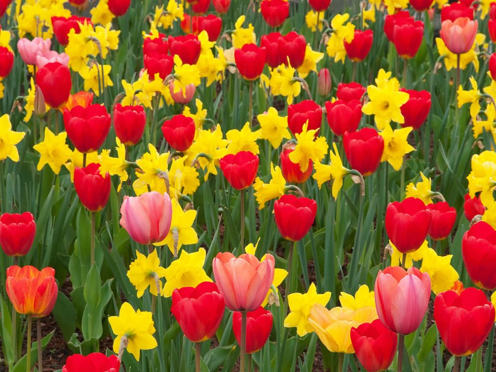 ℯNEWS MARCH 28, 2024