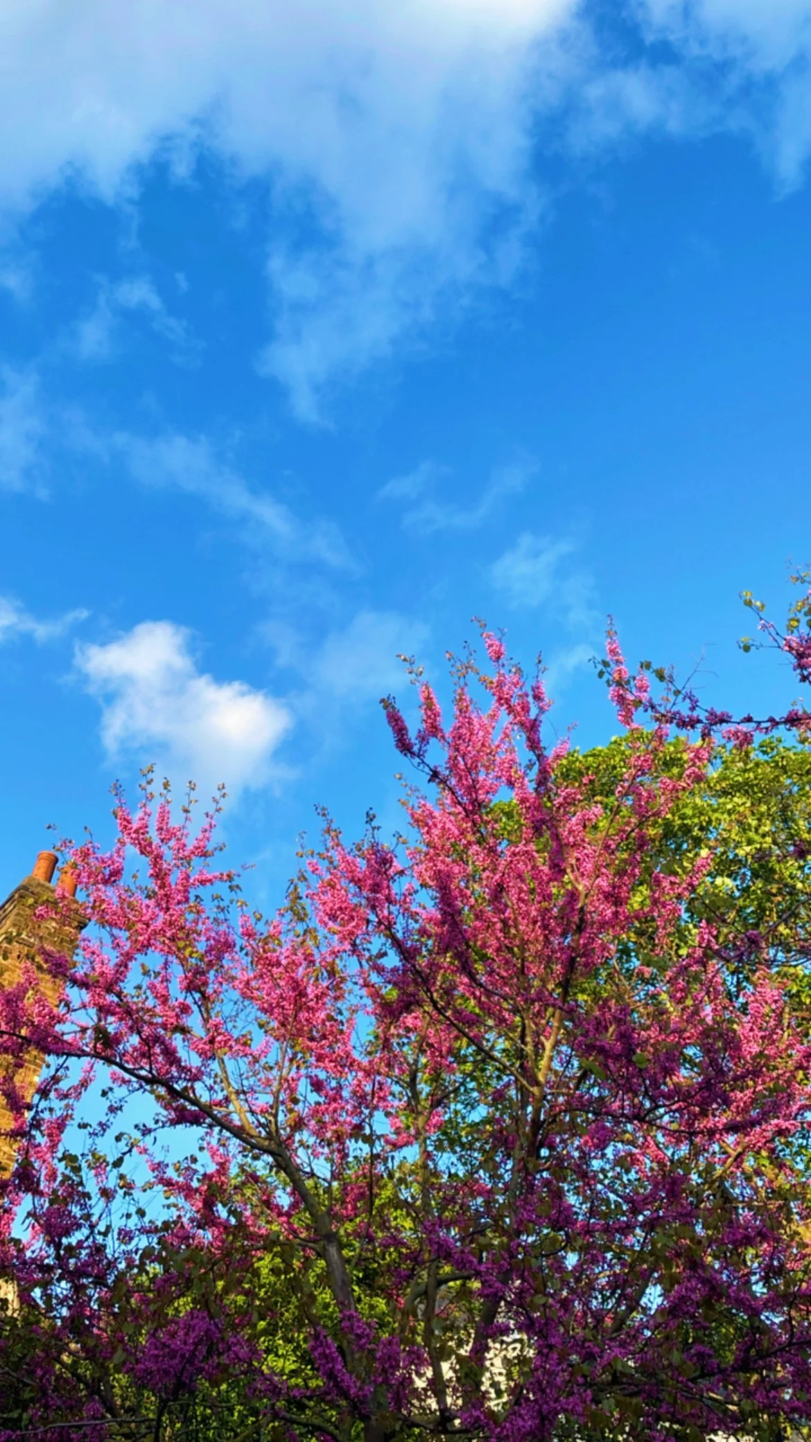 ℯNEWS April, 25 2025