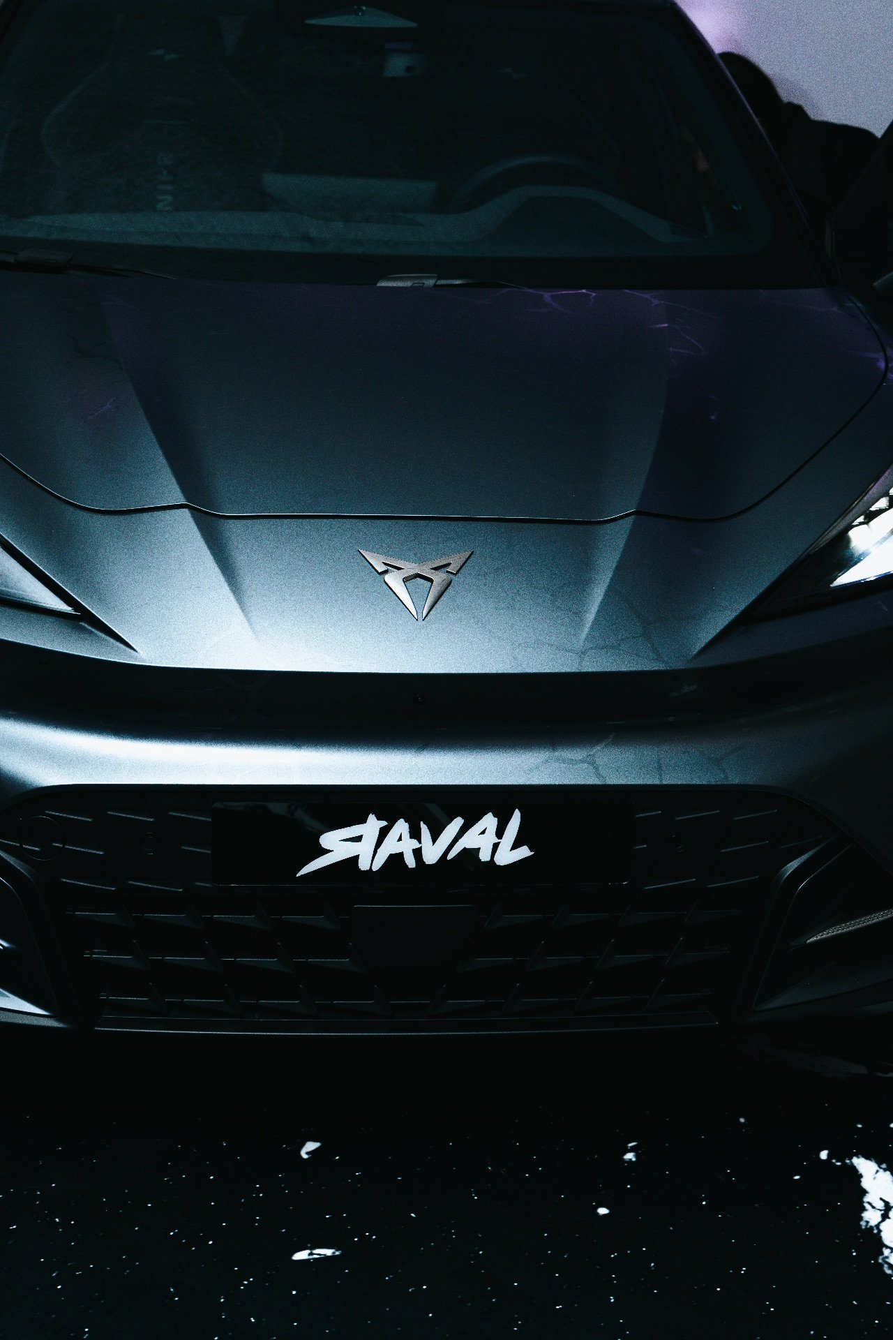 Cupra x Avnier