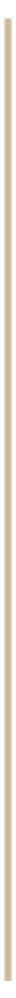 Close-up of two cinnamon sticks on a white background.