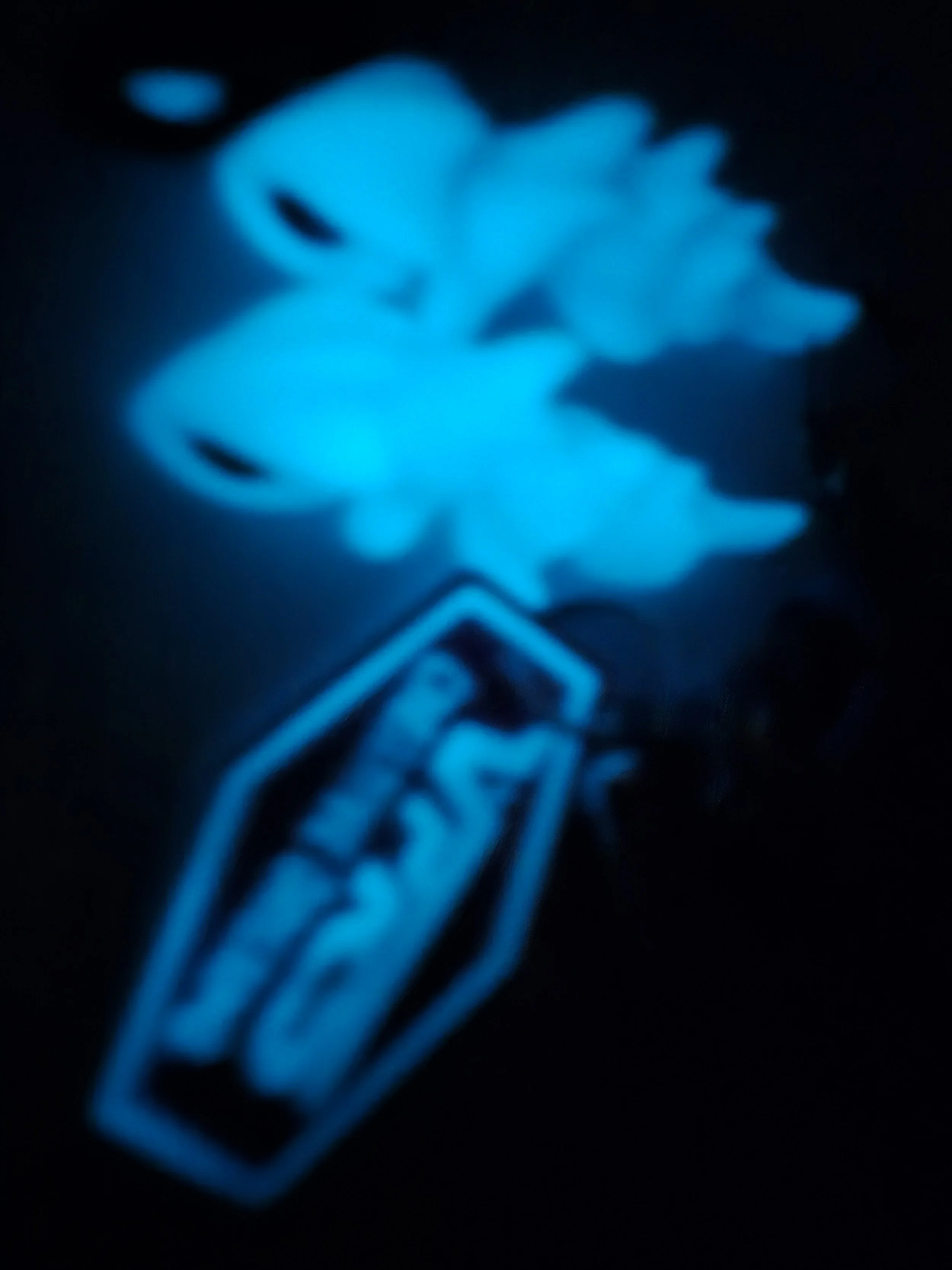 20240928_001226.jpg