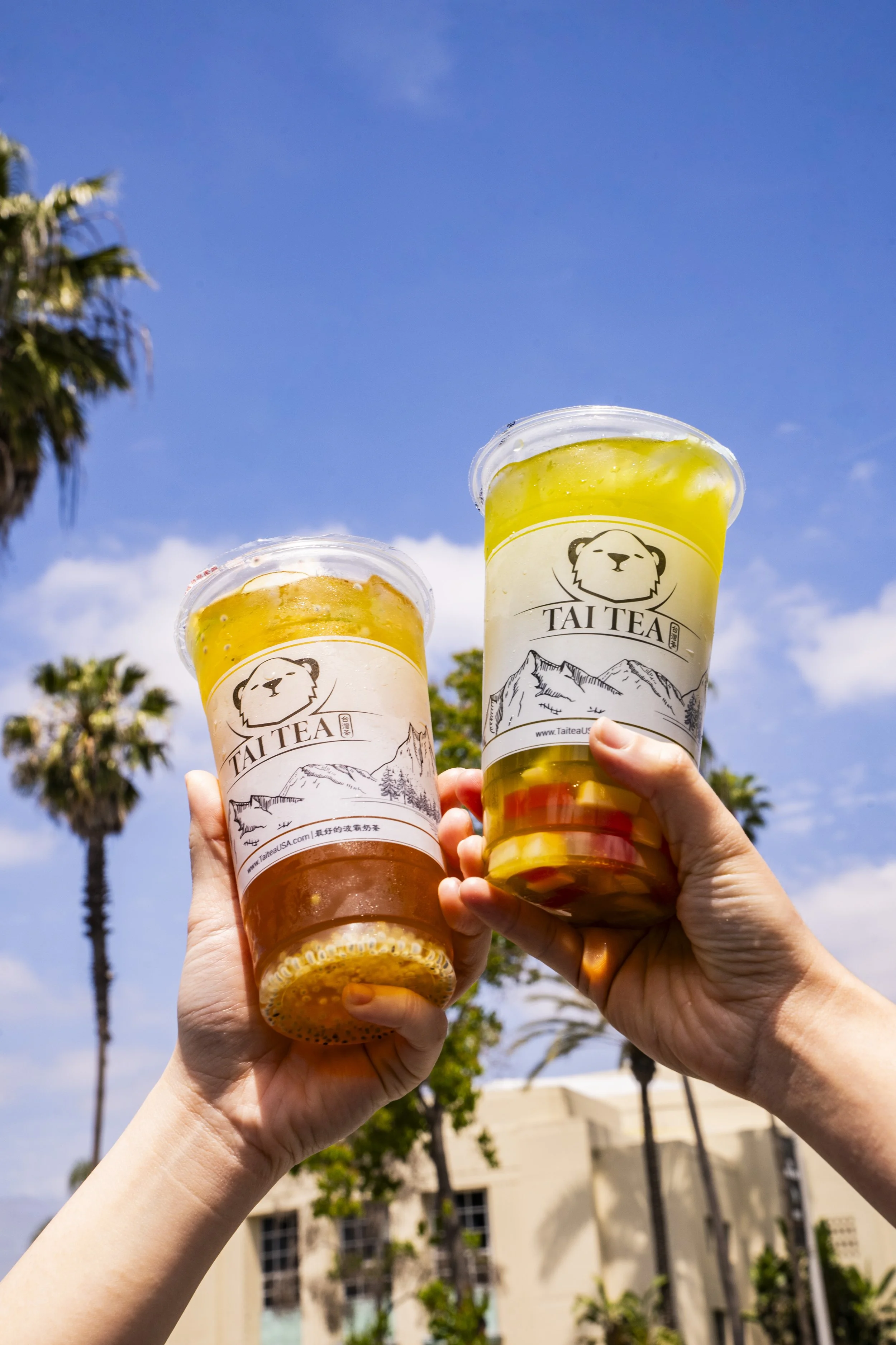 Two people holding cups of tea with mountain and bear logo, palm trees, and a building in the background on a sunny day.