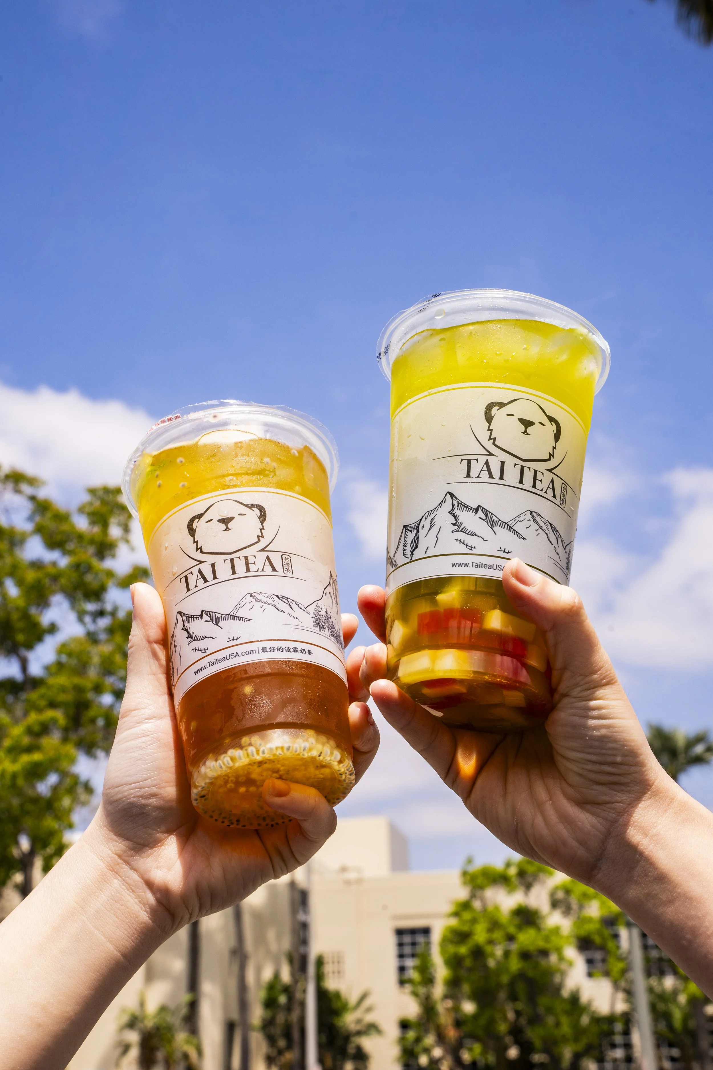 Two hands holding cups of bubble tea with lids, against a bright blue sky, trees, and buildings in the background.
