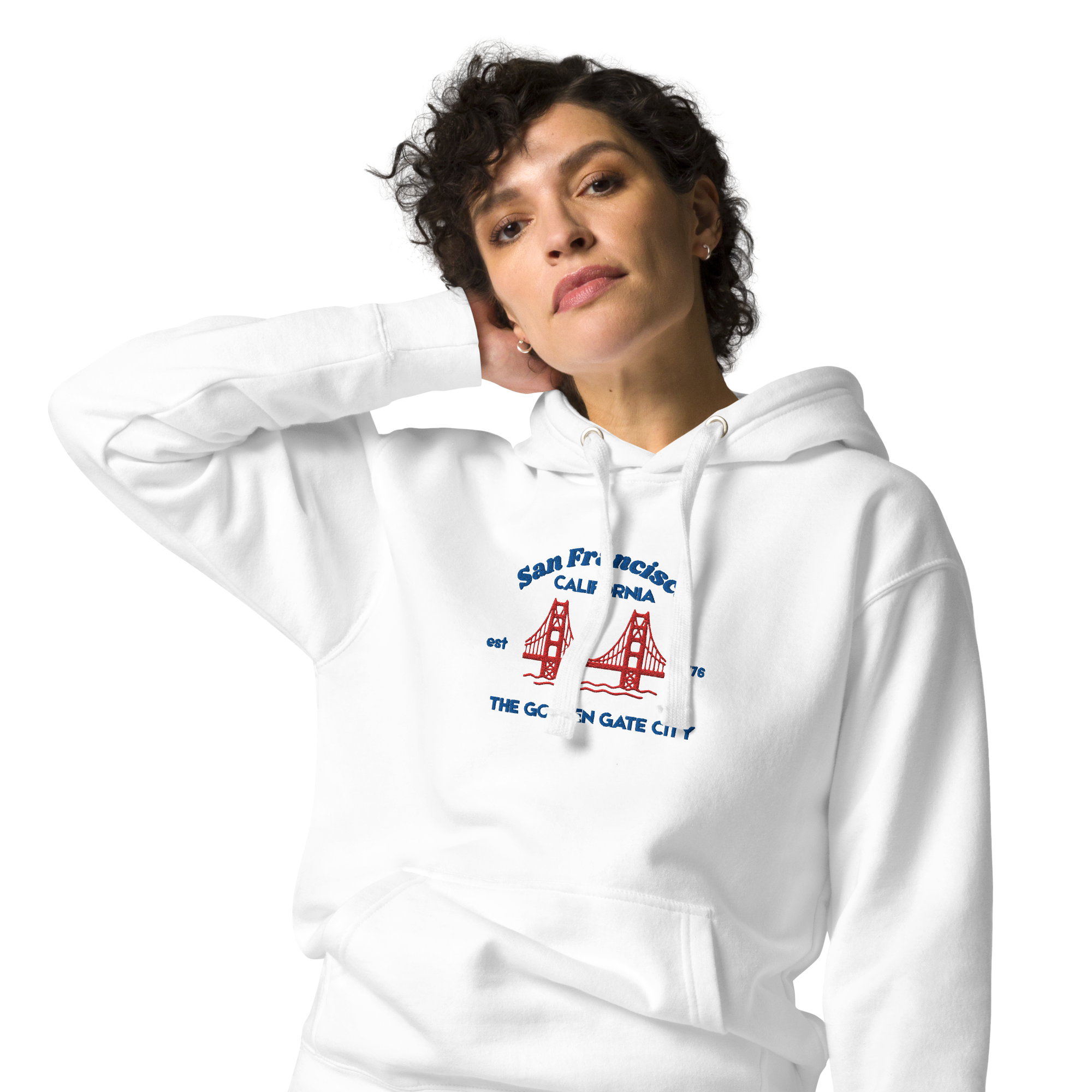 unisex-premium-pullover-hoodie-white-zoomed-in-69d7c671ddb1f.png