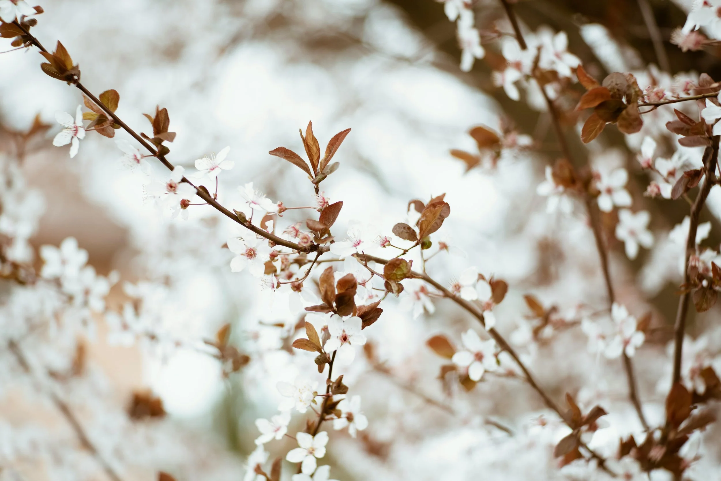 Autumn skincare treatments + advice