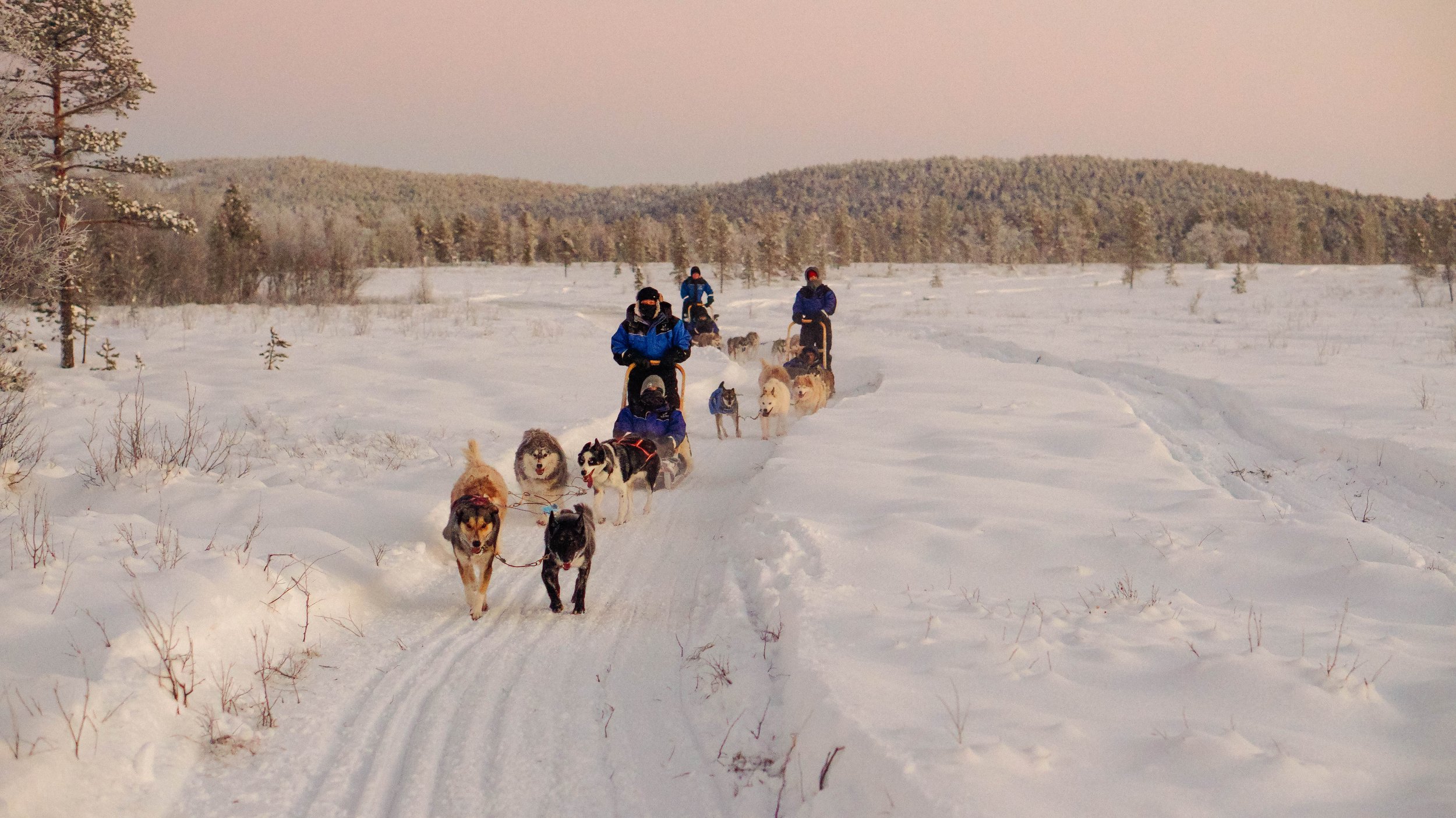 Menschen mit Schutzhunden ziehen einen Hundeschlitten durch eine verschneite Winterlandschaft mit Bäumen und Bergen im Hintergrund.