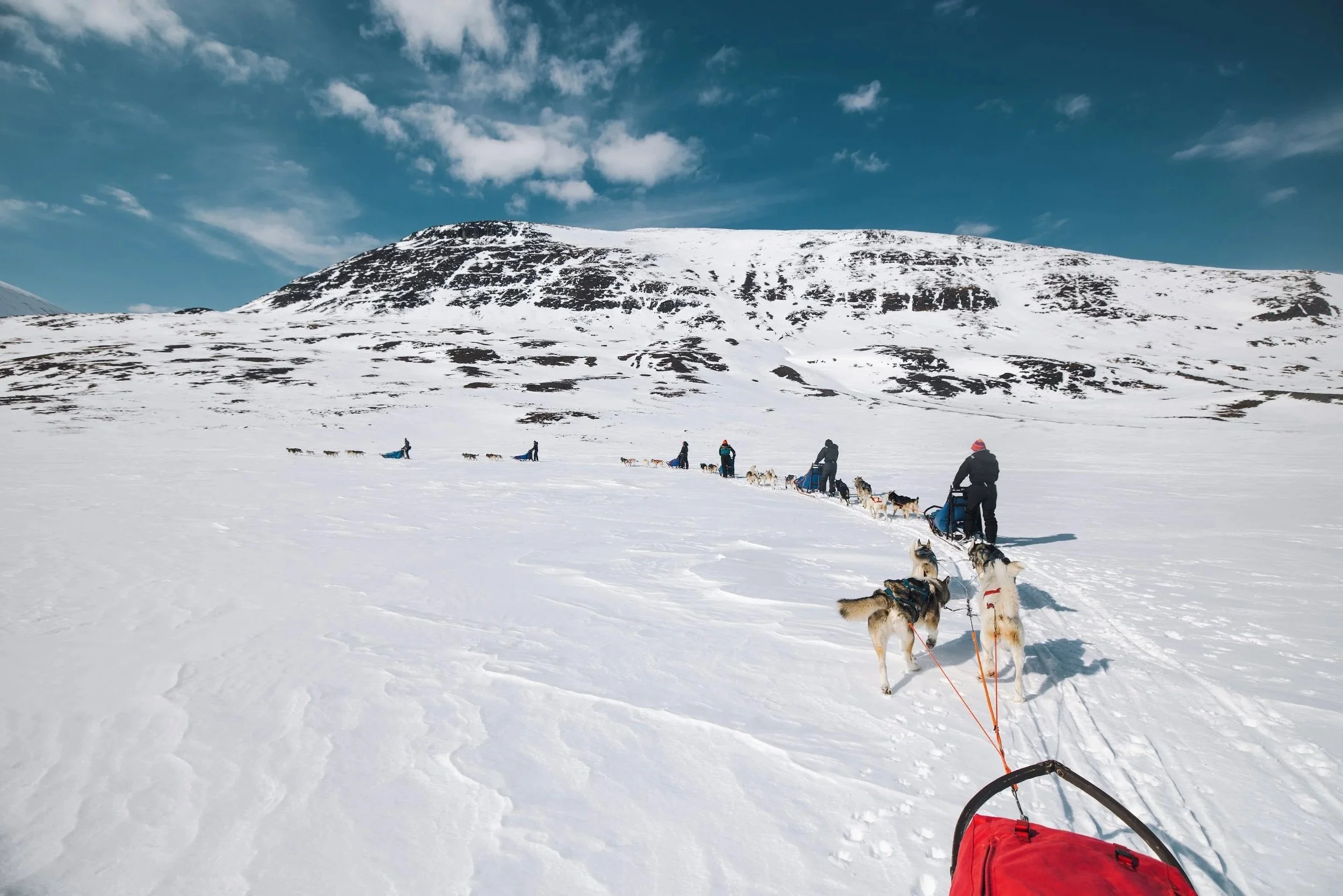Why Dogsledding Tourism Must Be Ethical