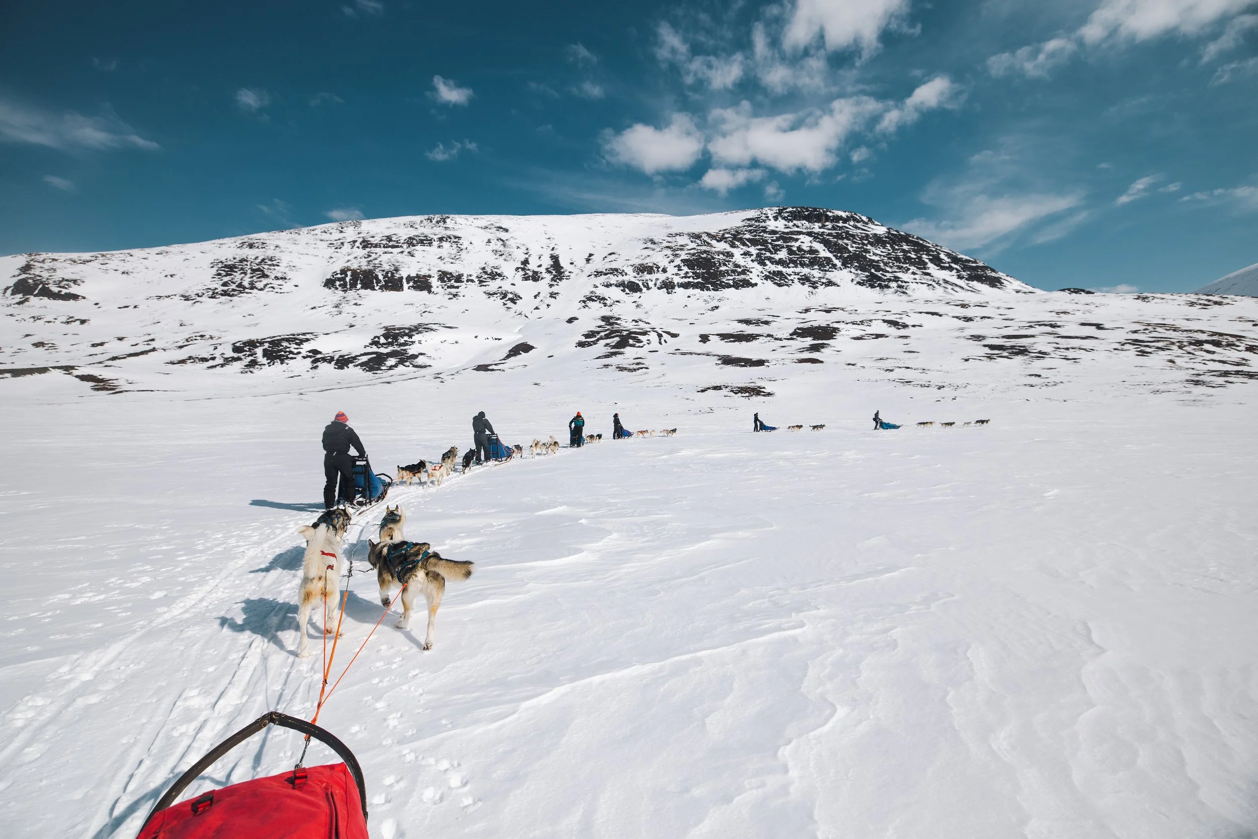 Why Dogsledding Tourism Must Be Ethical