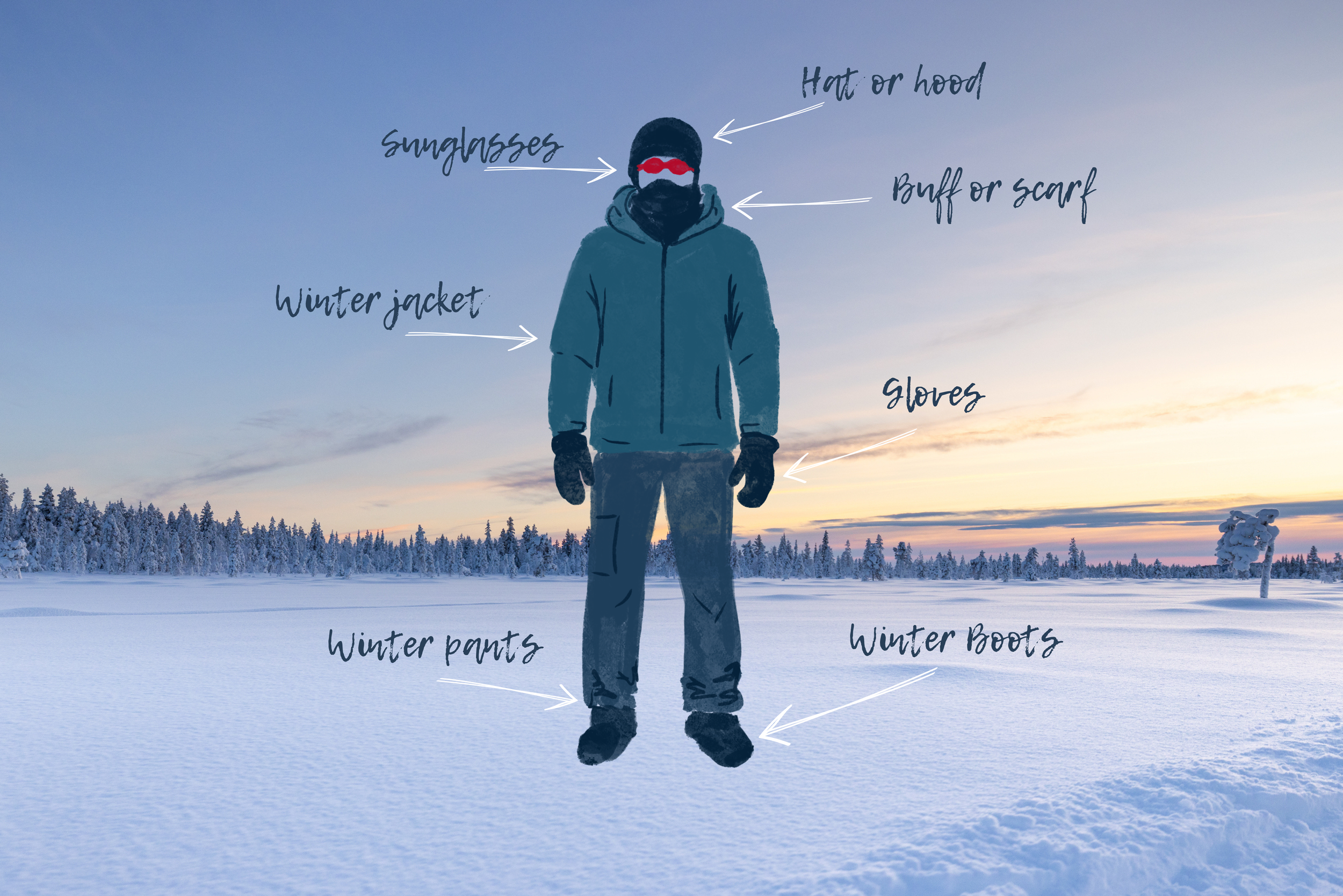 Clothing for a Husky Safari – What You Really Need and Why Less Is Sometimes More
